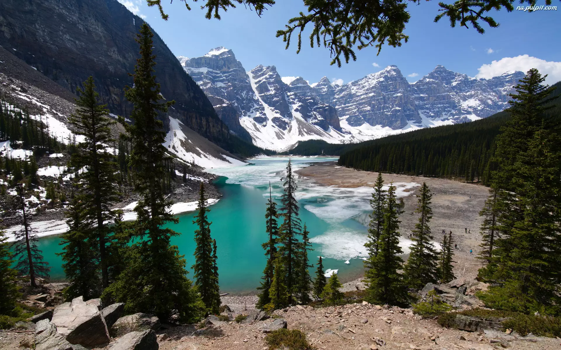 Jezioro Moraine, Śnieg, Park Narodowy Banff, Dolina, Drzewa, Alberta, Kanadyjskie Góry Skaliste, Las, Dziesięciu Szczytów, Świerki, Kanada
