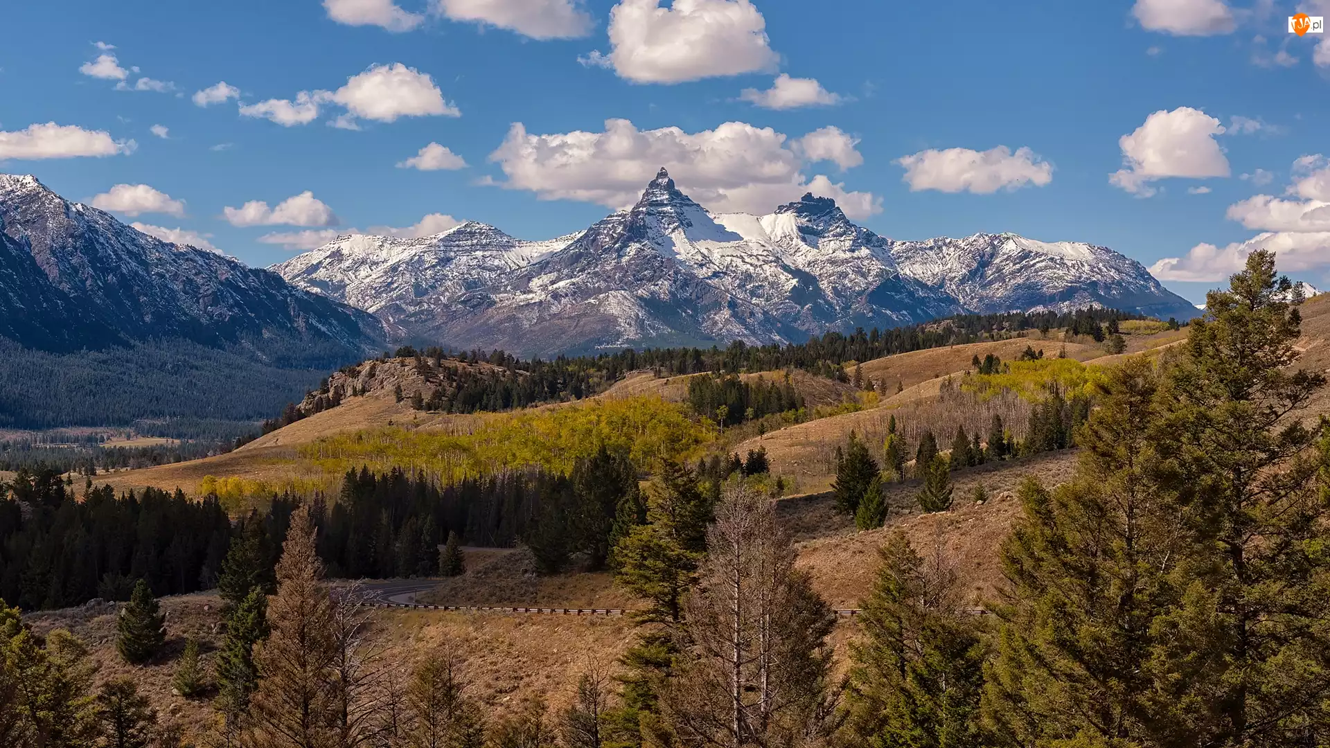 Absaroka Range, Szczyty, Stany Zjednoczone, GĂłry, Wyoming, WzgĂłrza, Drzewa