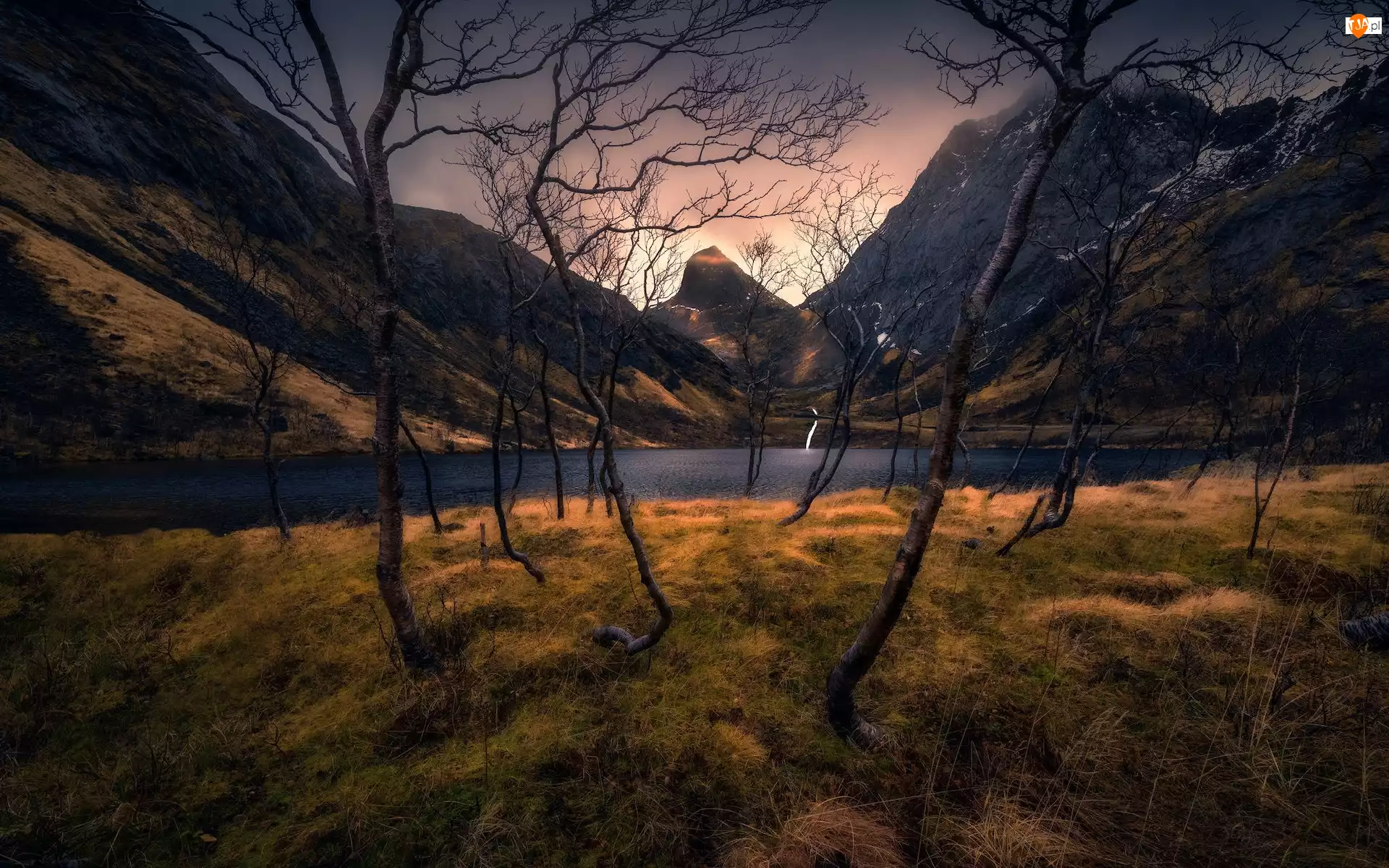 Góry, Drzewa, Senja, Norwegia, Jezioro