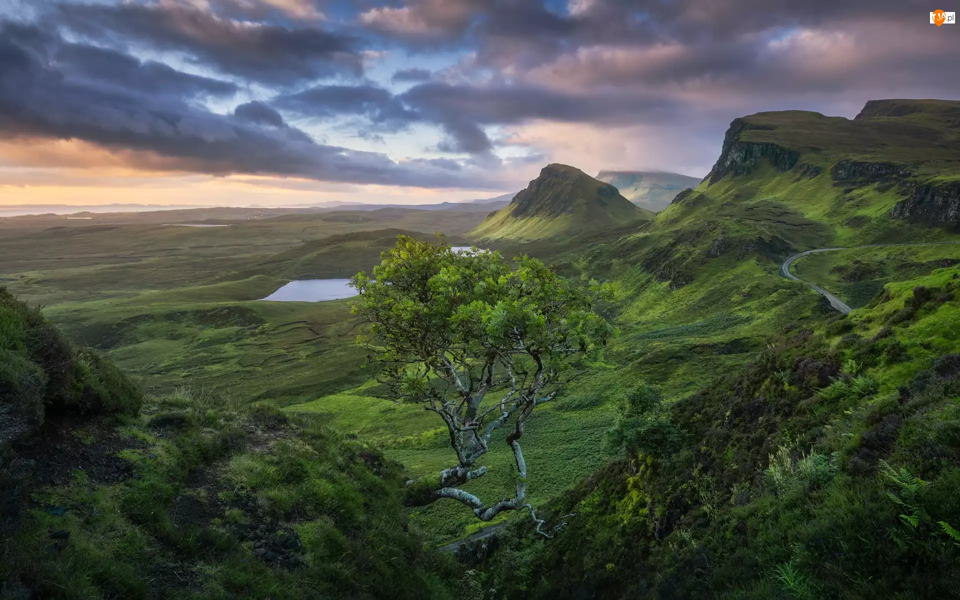 Wyspa Skye, Góry, Drzewo, Wzgórze Quiraing, Wzgórza, Chmury, Szkocja, Jeziora