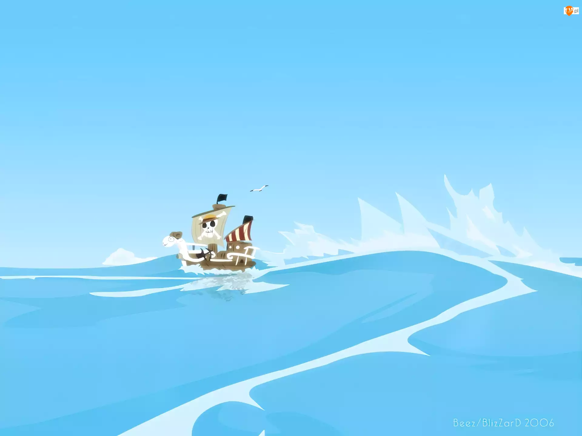 statek, One Piece
