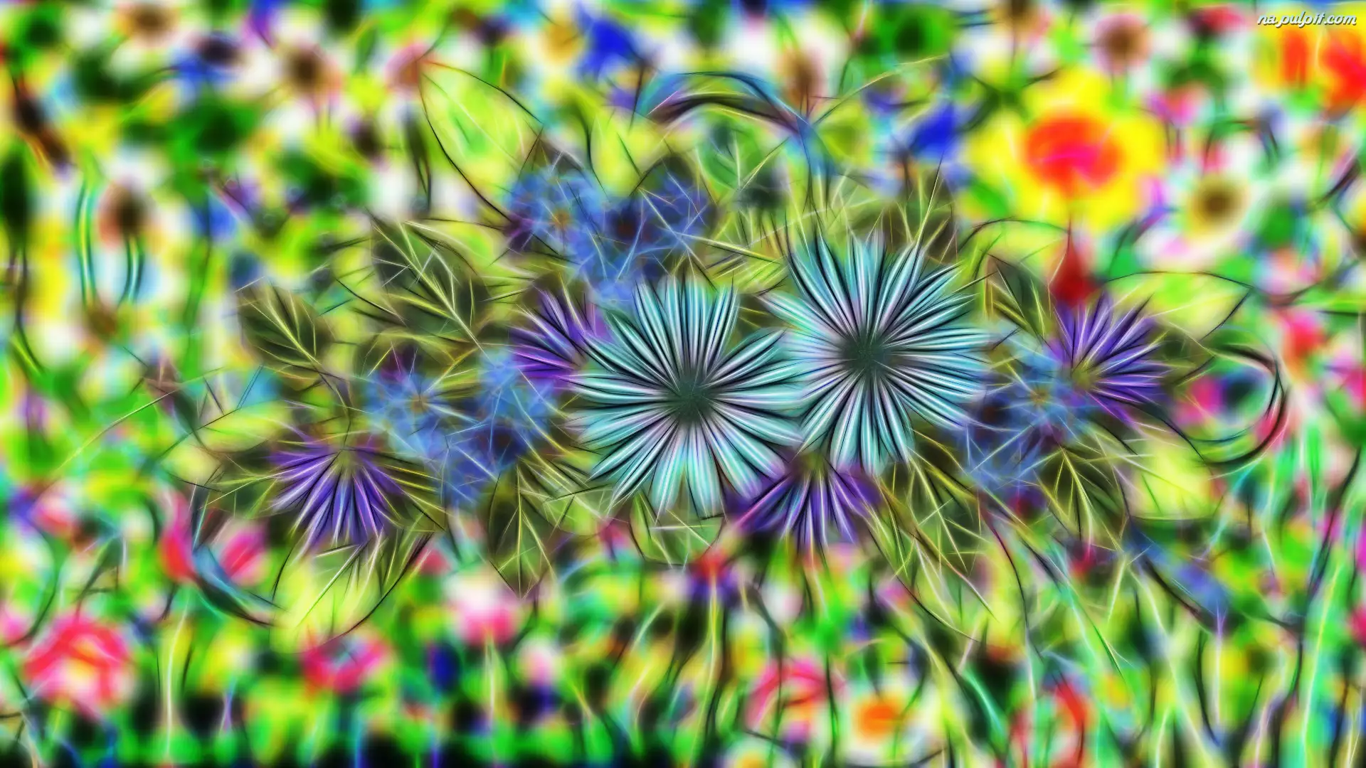 Kwiaty, Grafika, Fractalius, 2D