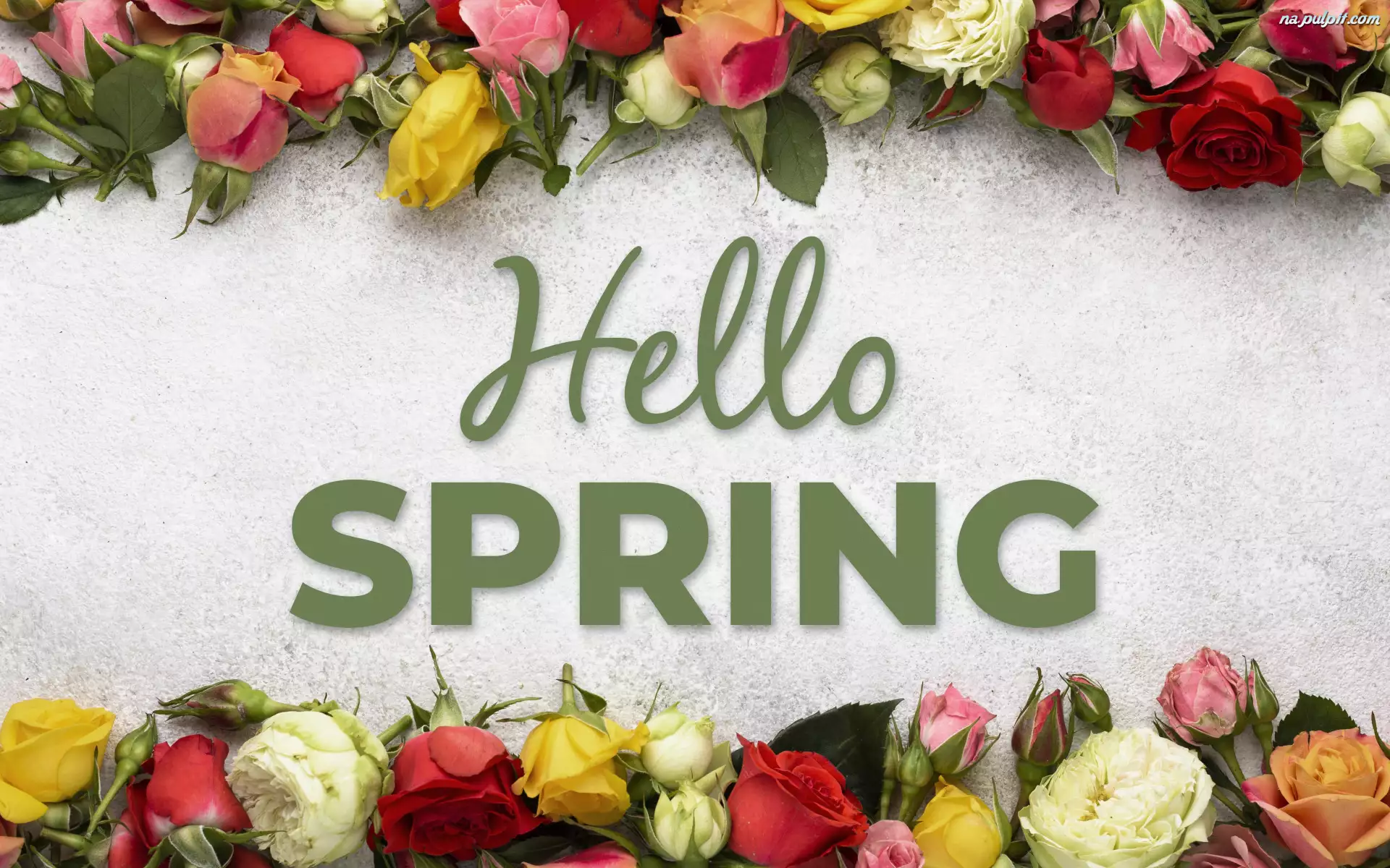 Kolorowe, Kwiaty, Napis, Wiosna, Róże, Hello Spring