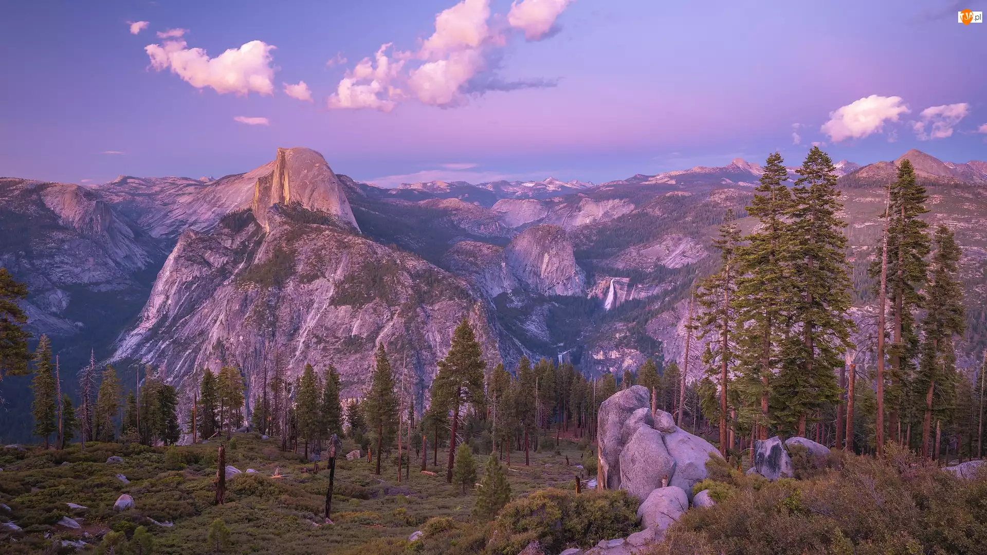 Kalifornia, Park Narodowy Yosemite, Half Dome, Stany Zjednoczone, Szczyt, Góry, Drzewa