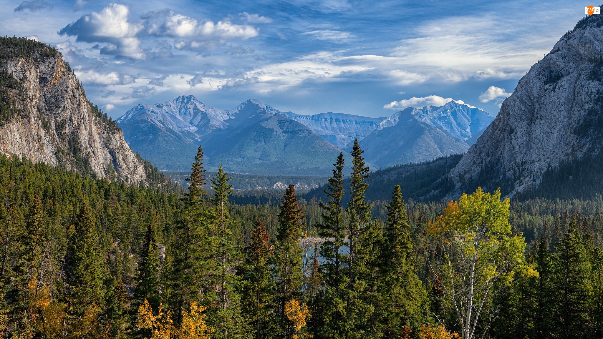Góry Skaliste, Park Narodowy Banff, Lasy, Kanada, Drzewa, Alberta