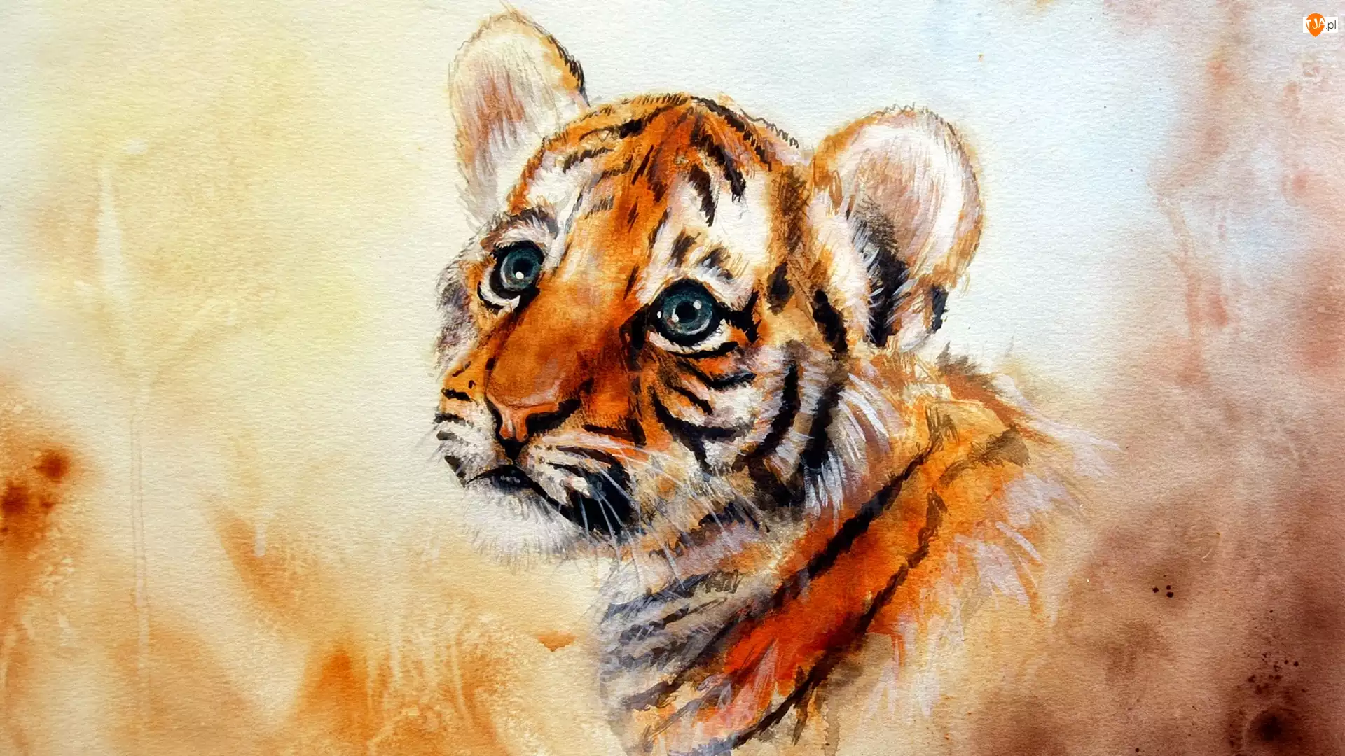 Tygrys, Grafika, Paintography
