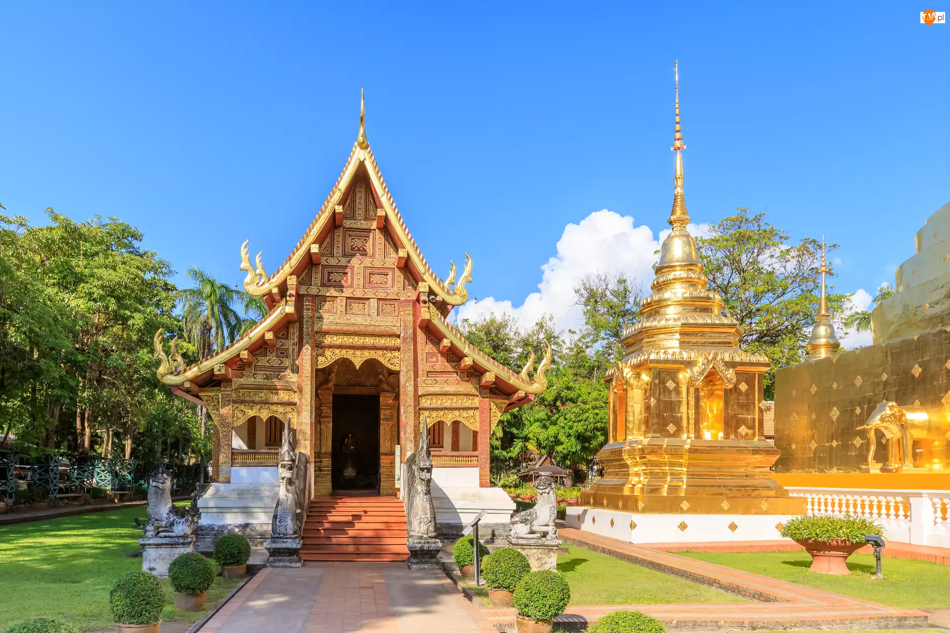 Wat Phra Singh Woramahawihan, Pagoda, Tajlandia, Świątynia, Chiang Mai, Niebo, Drzewa