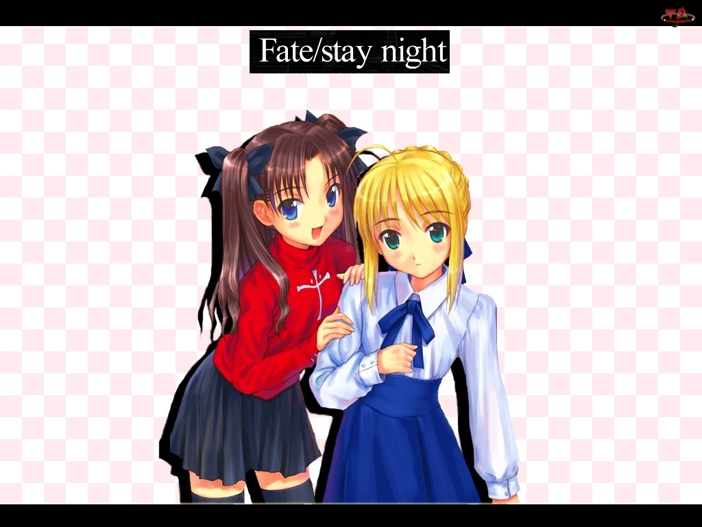 dziewczyny, Fate Stay Night