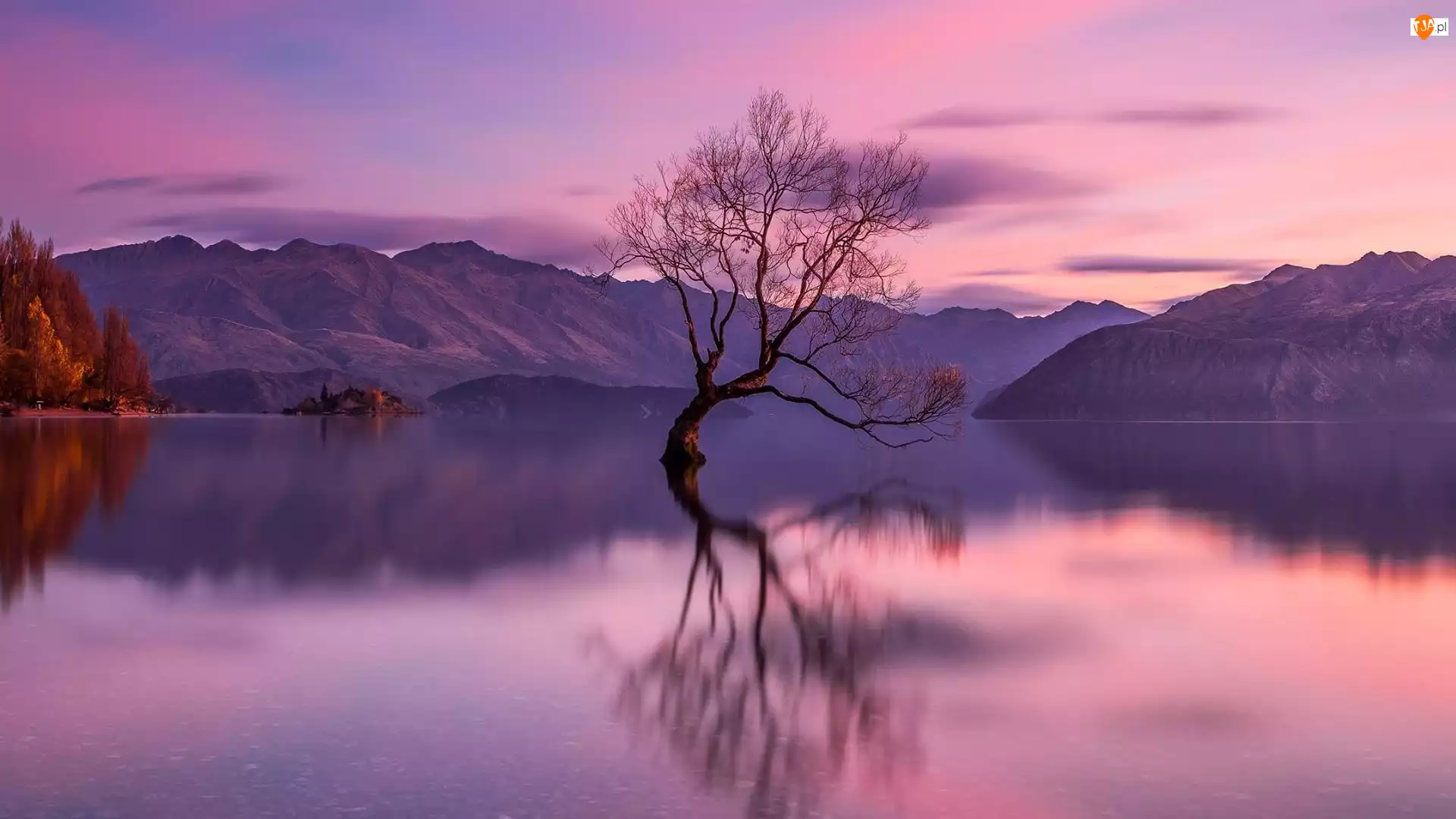 Drzewo, Odbicie, Nowa Zelandia, Jezioro Wanaka, Chmury, Jesień, Góry