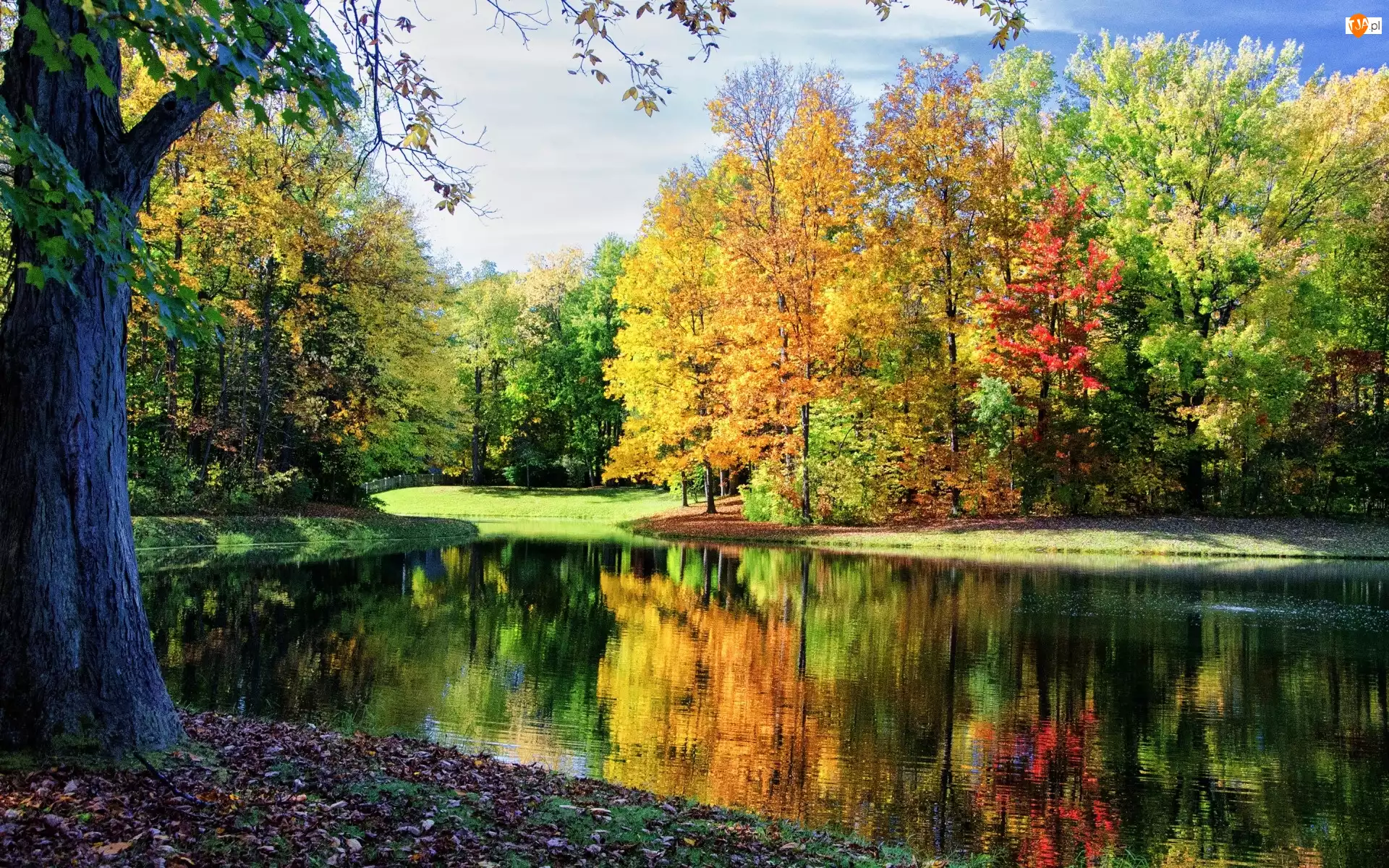 Kolorowe, Jesień, Rzeka, Park, Drzewa
