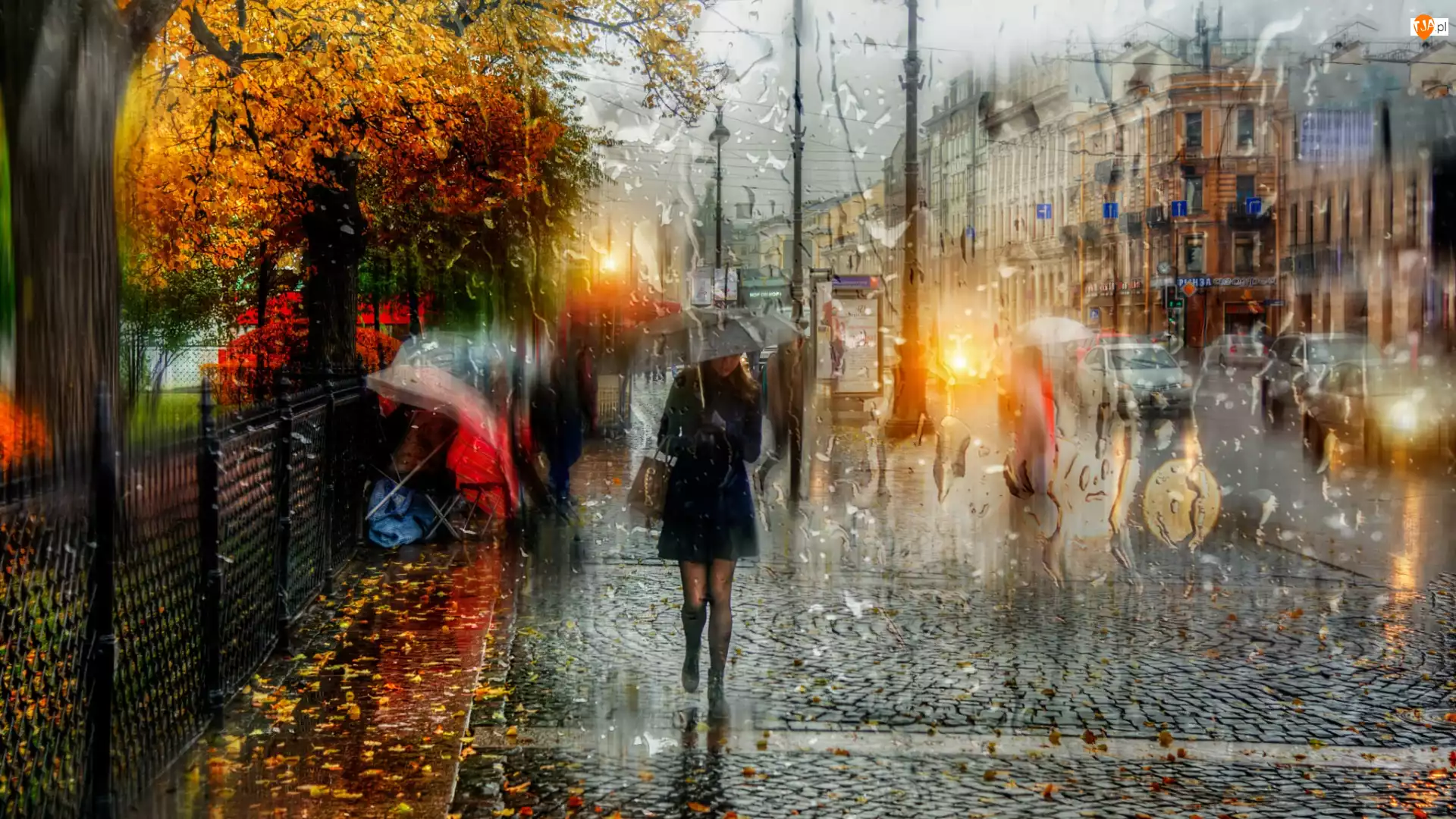 Parasol, Deszcz, Kobieta, Petersburg, Ulica