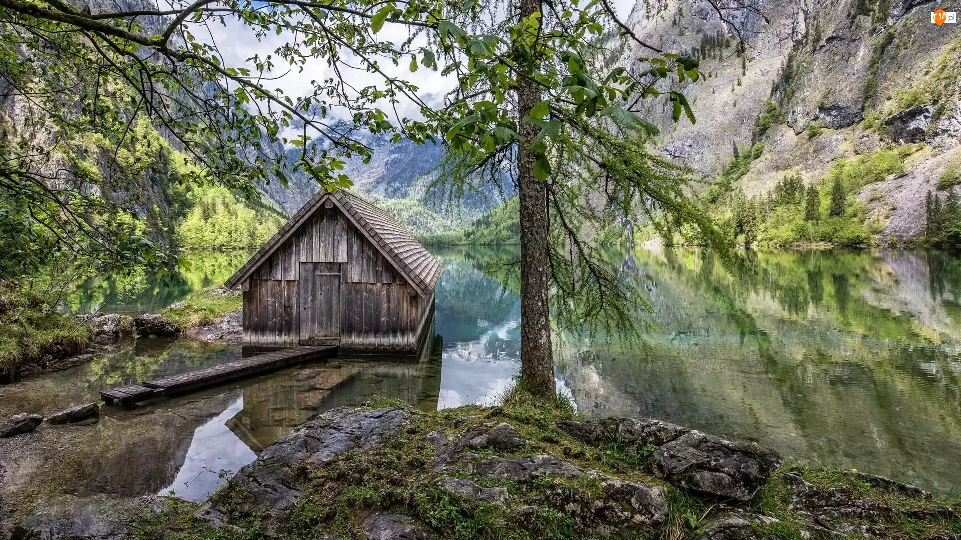 Chata, Jezioro Konigssee, Niemcy, Drzewo, Park Narodowy Berchtesgaden, Drewniana, Góry, Bawaria