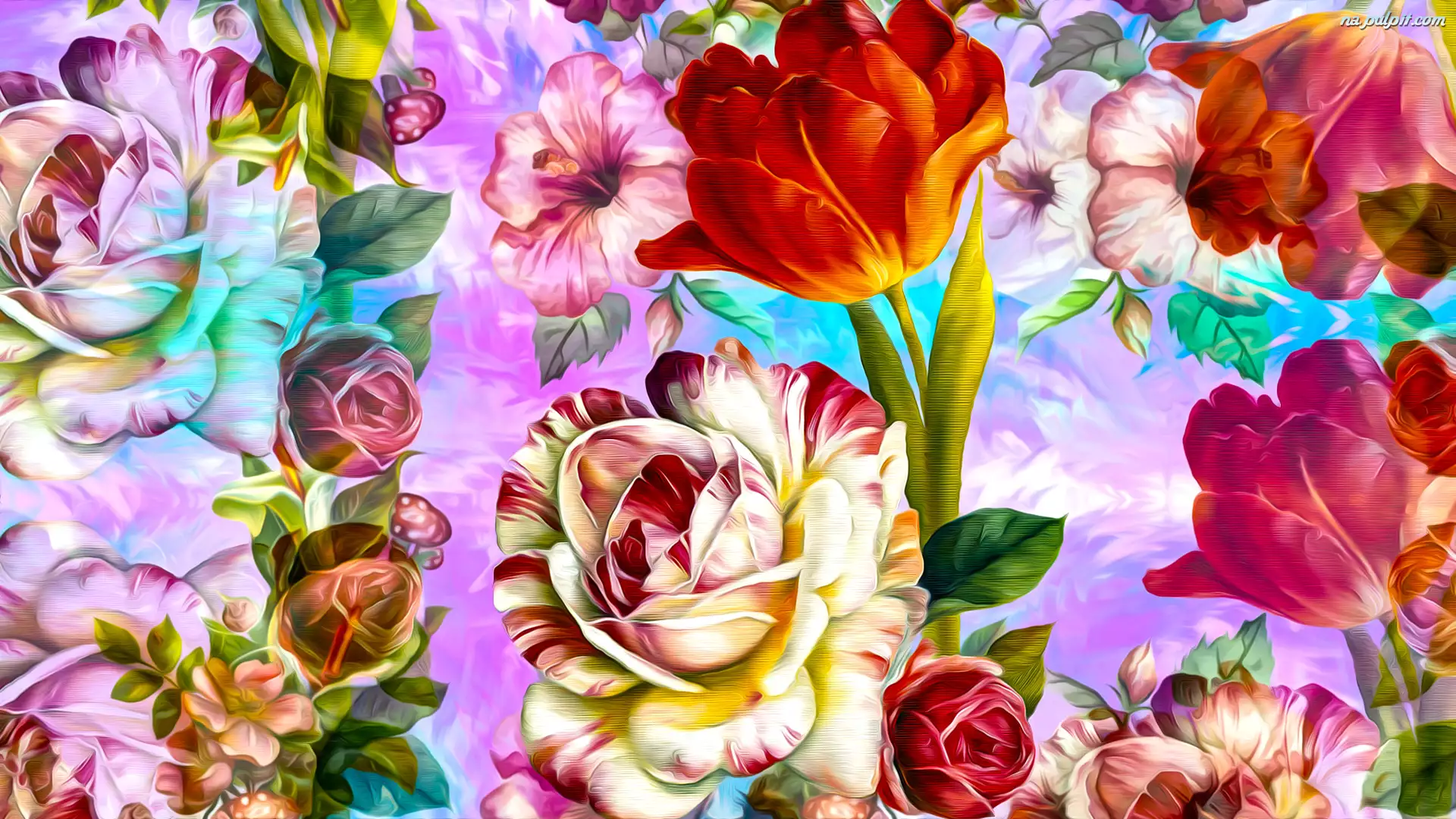 Grafika, Kwiaty, Róża, Tulipan