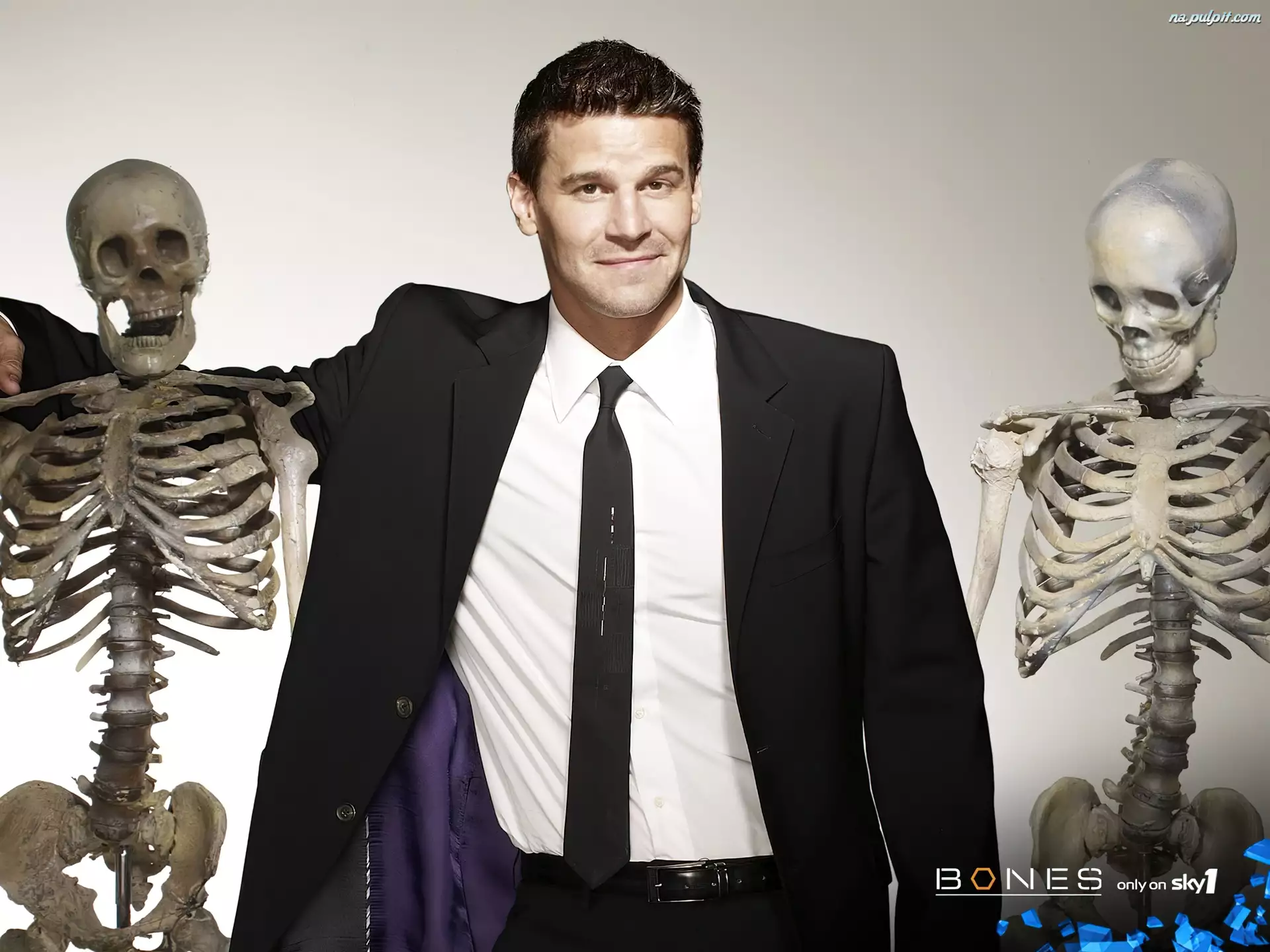 Kości, David Boreanaz, Bones, Serial, Szkielety