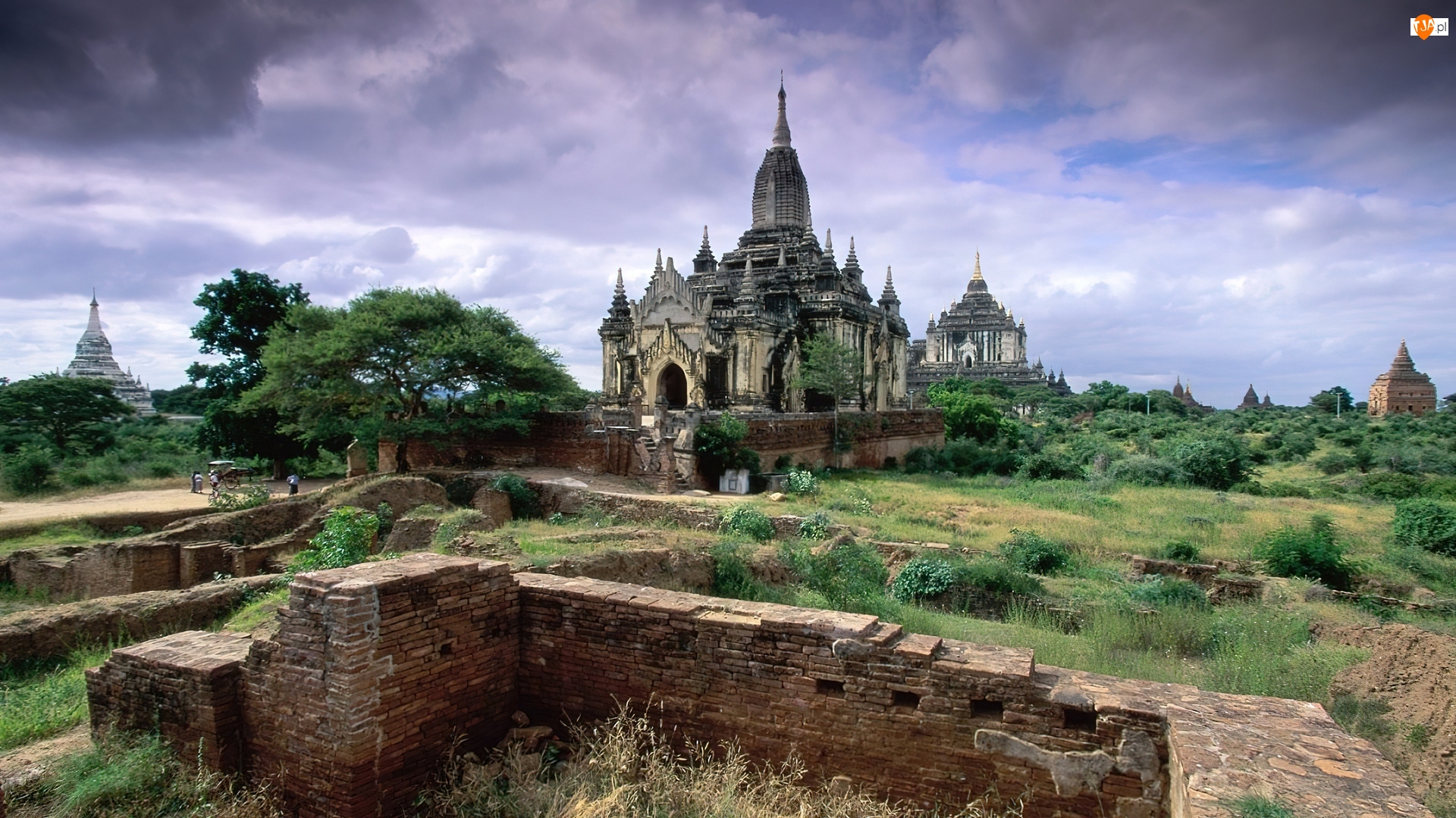 Ruiny, Trawa, Pagody, Myanmar, Drzewa