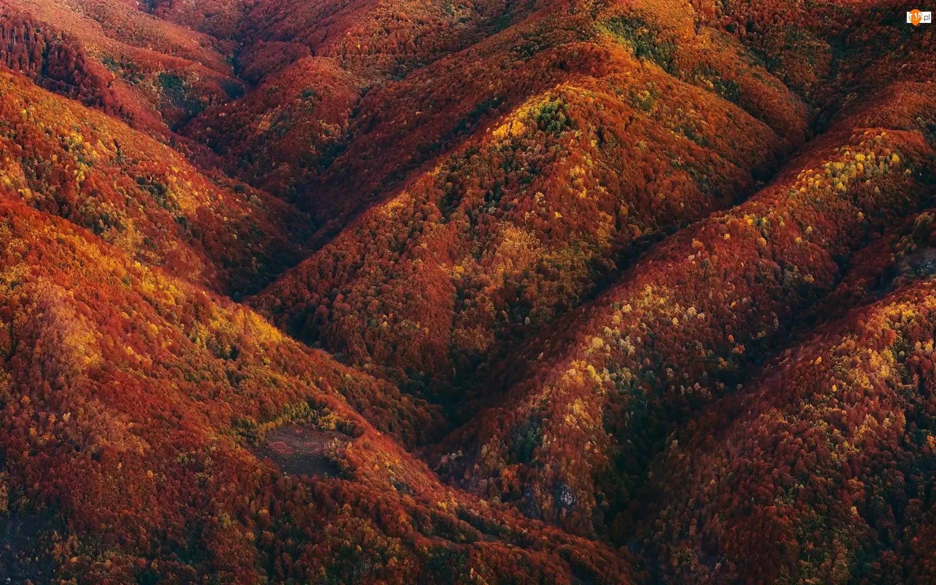 Jesień, Drzewa, Lasy, Góry, Kolorowe
