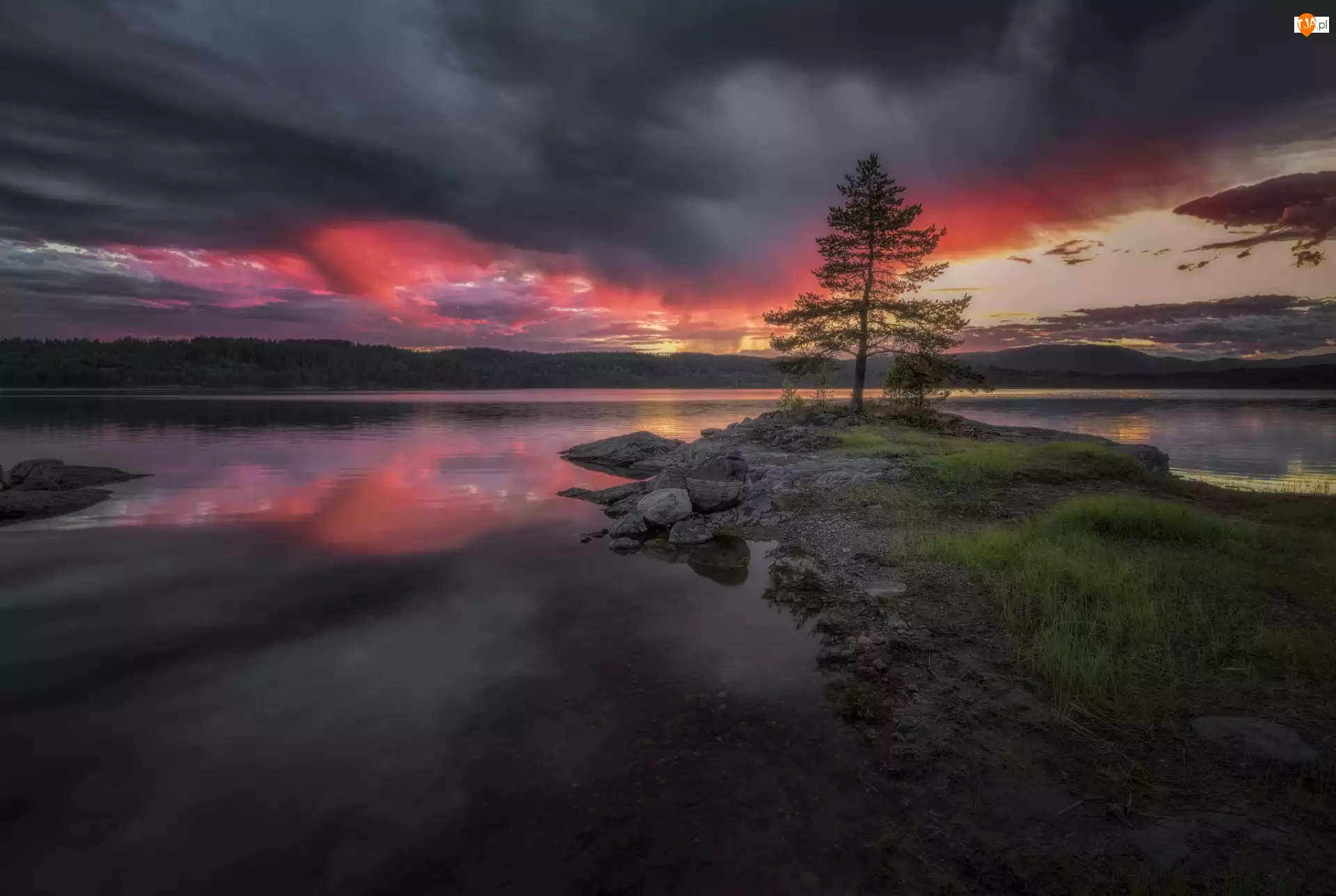 Drzewo, Norwegia, Chmury, Jezioro, Ringerike