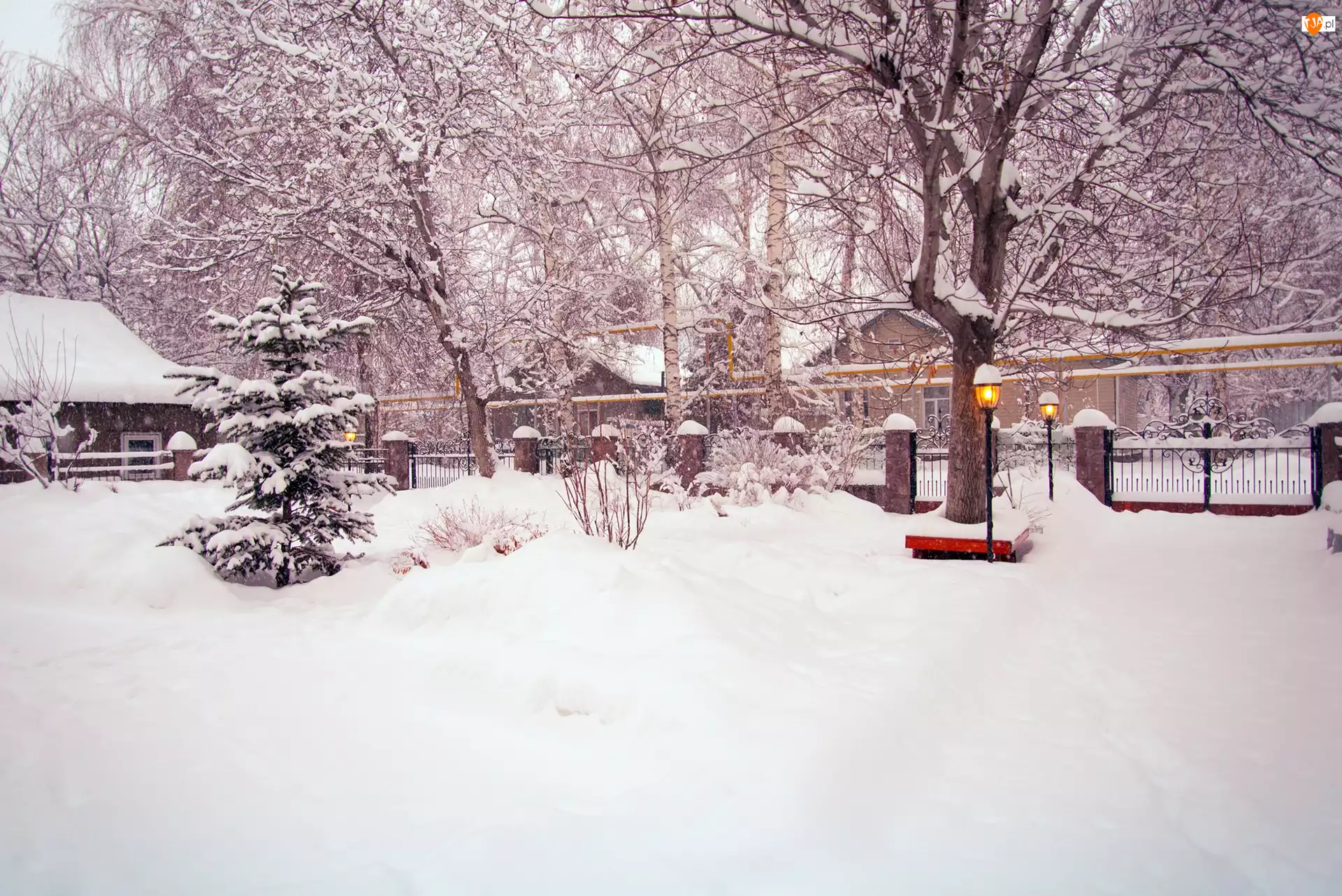 Drzewa, Zima, Śnieg, Domy