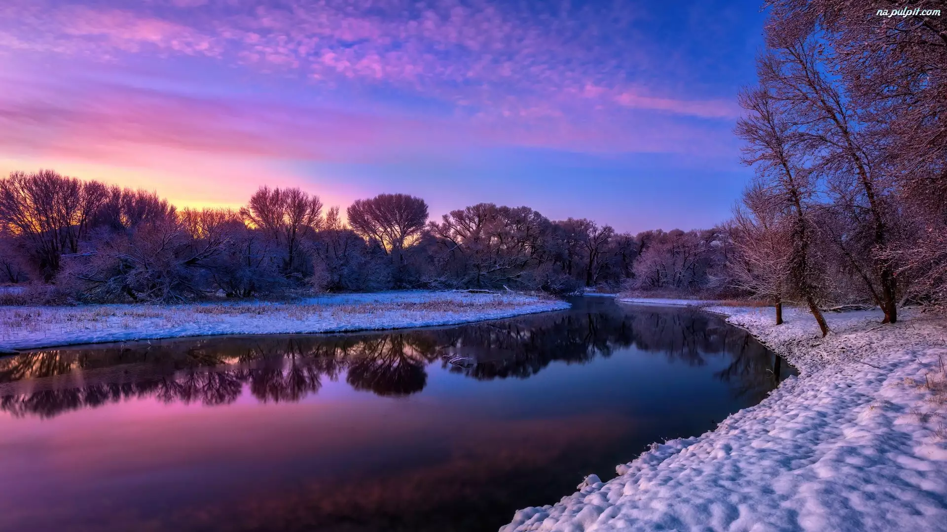 Drzewa, Zima, Granite Creek, Stany Zjednoczone, Rzeka, Arizona