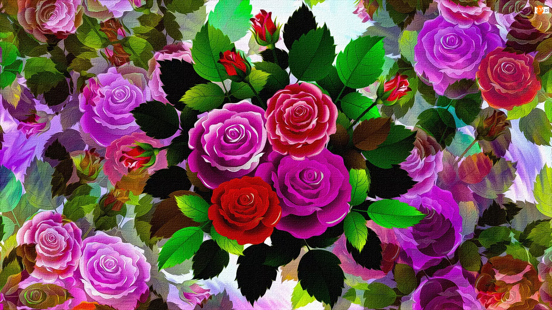 Grafika 2D, Kwiaty, Kolorowe, Róże