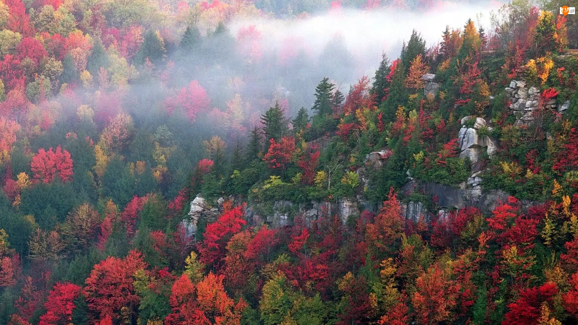 Jesieni, Góry, Kolory, Wszystkie, Drzewa