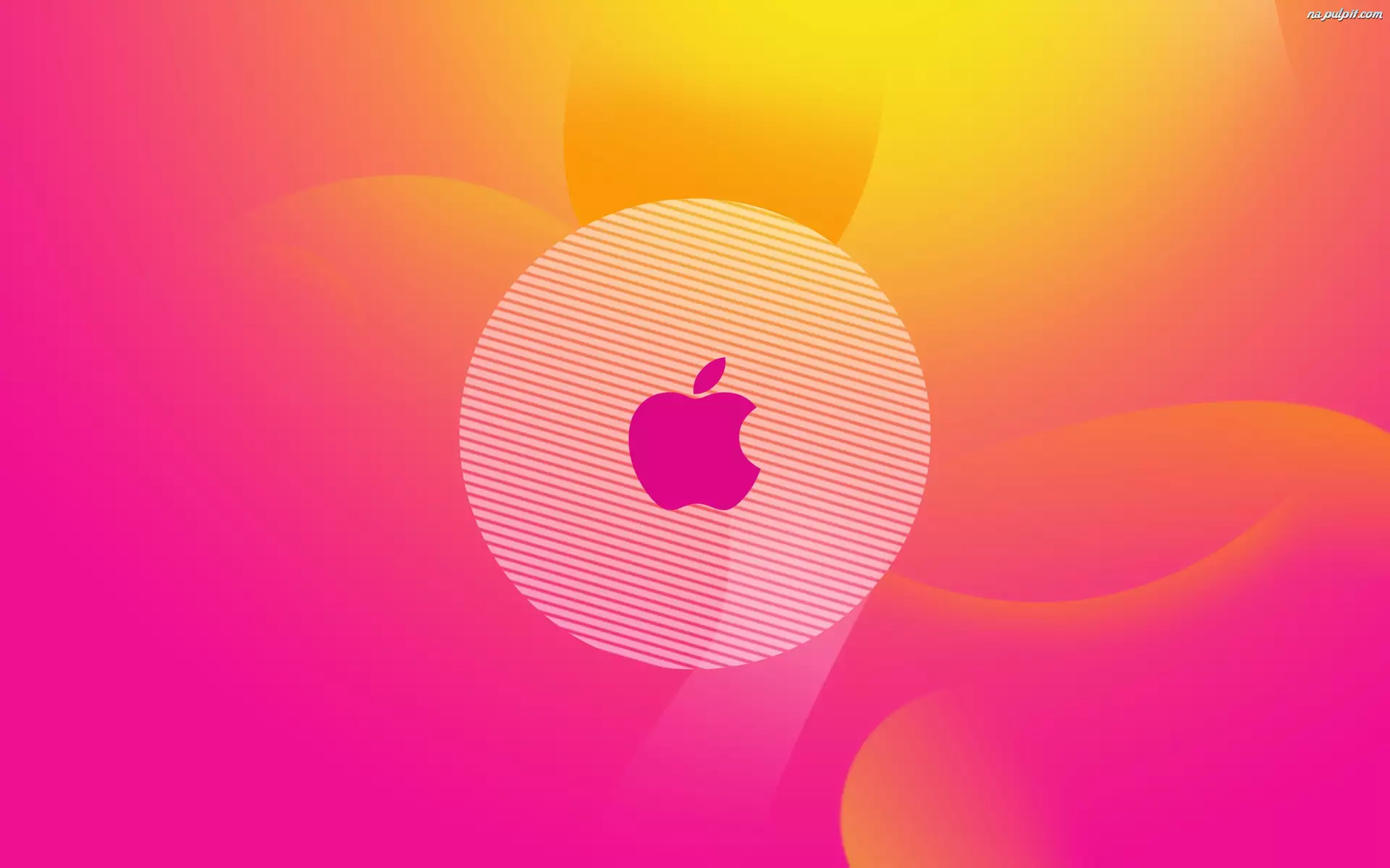 Logo, Różowe, Apple