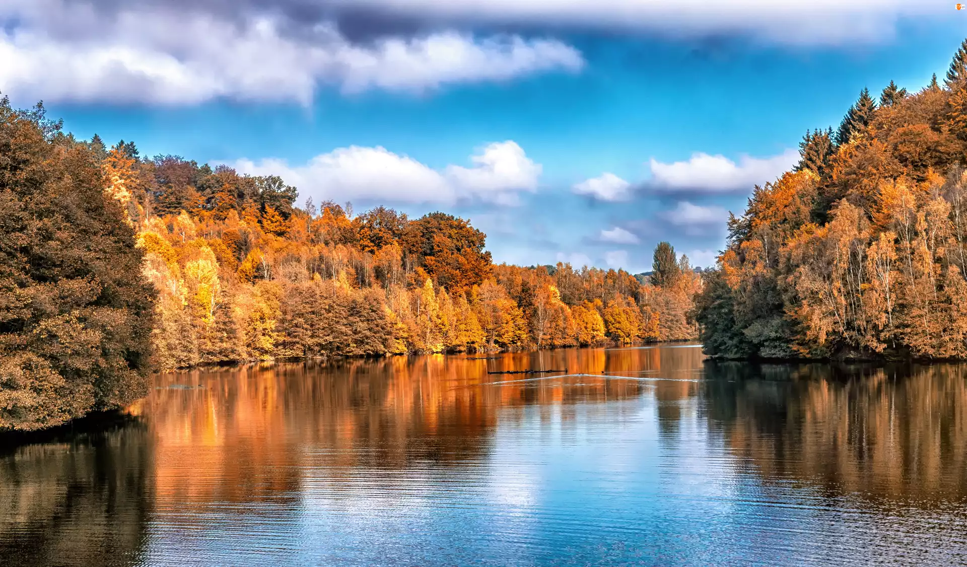 Drzewa, Jezioro, Jesień, Kolorowe