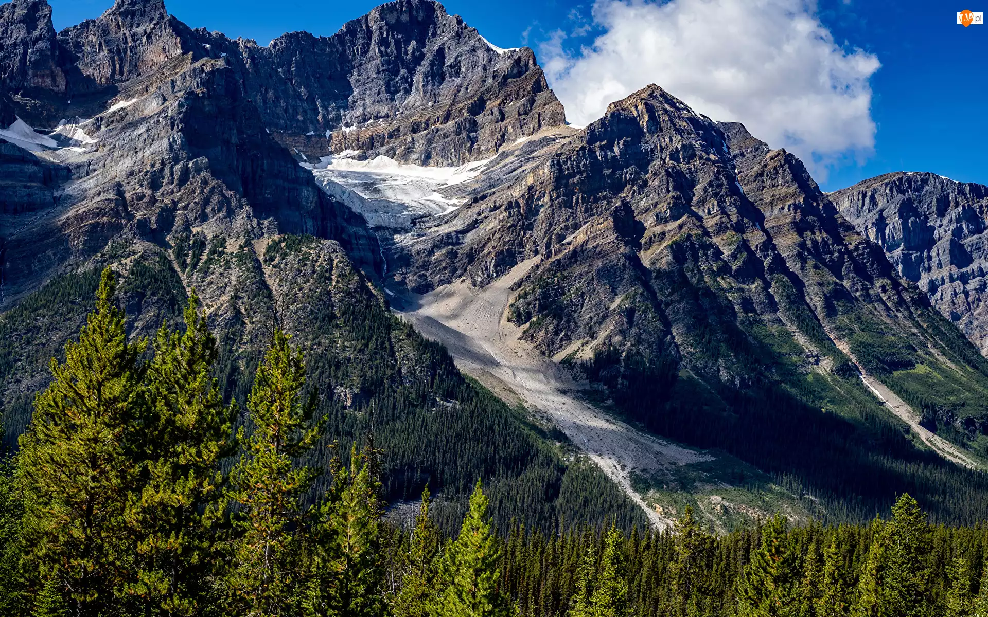 Lasy, Góry Skaliste, Park Narodowy Banff, Kanada, Drzewa, Prowincja Alberta