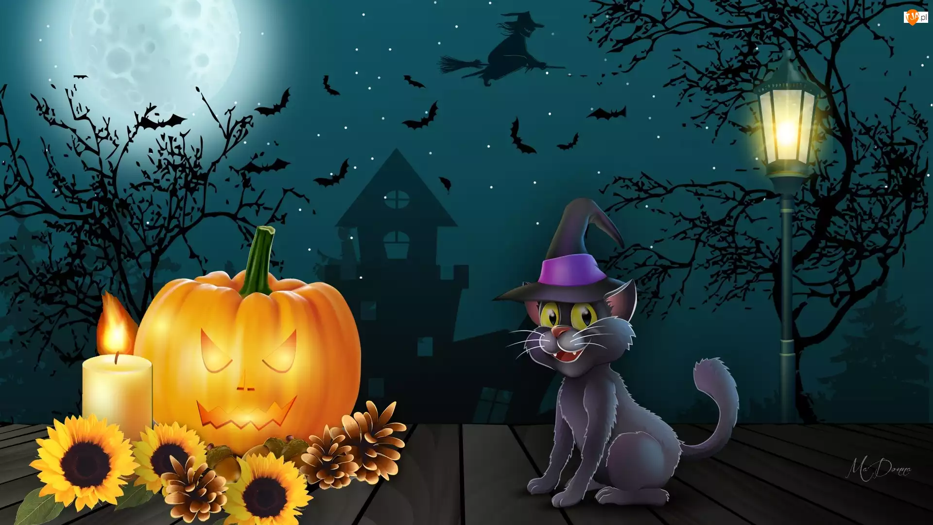 Latarnia, Halloween, Kot, Dynia