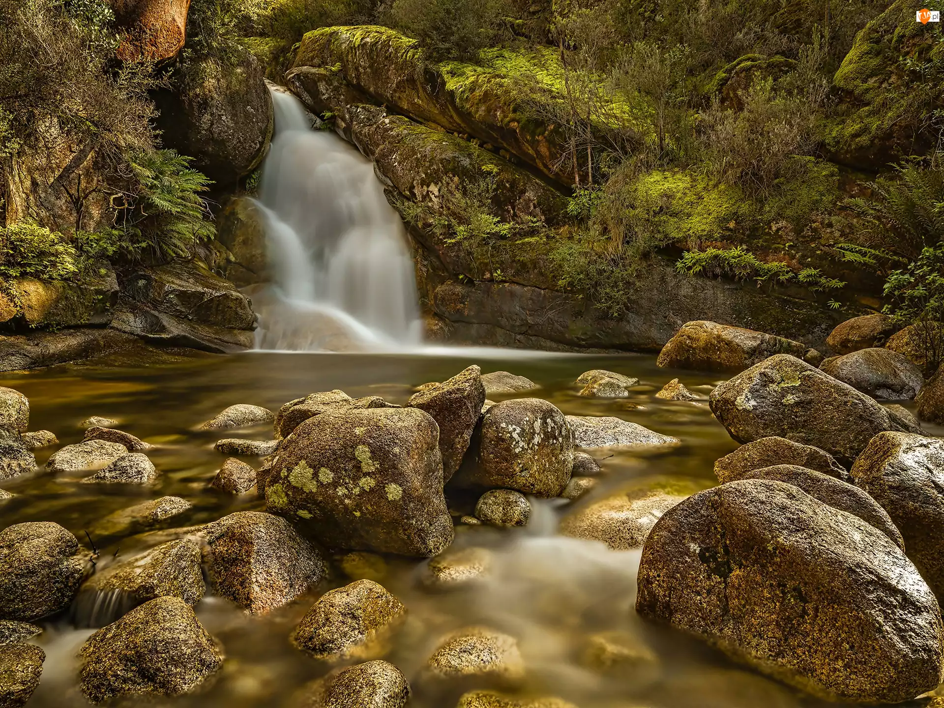 Wodospad Ladies Bath Falls, Kamienie, Park Narodowy Mount Buffalo, Australia, Jeziorko