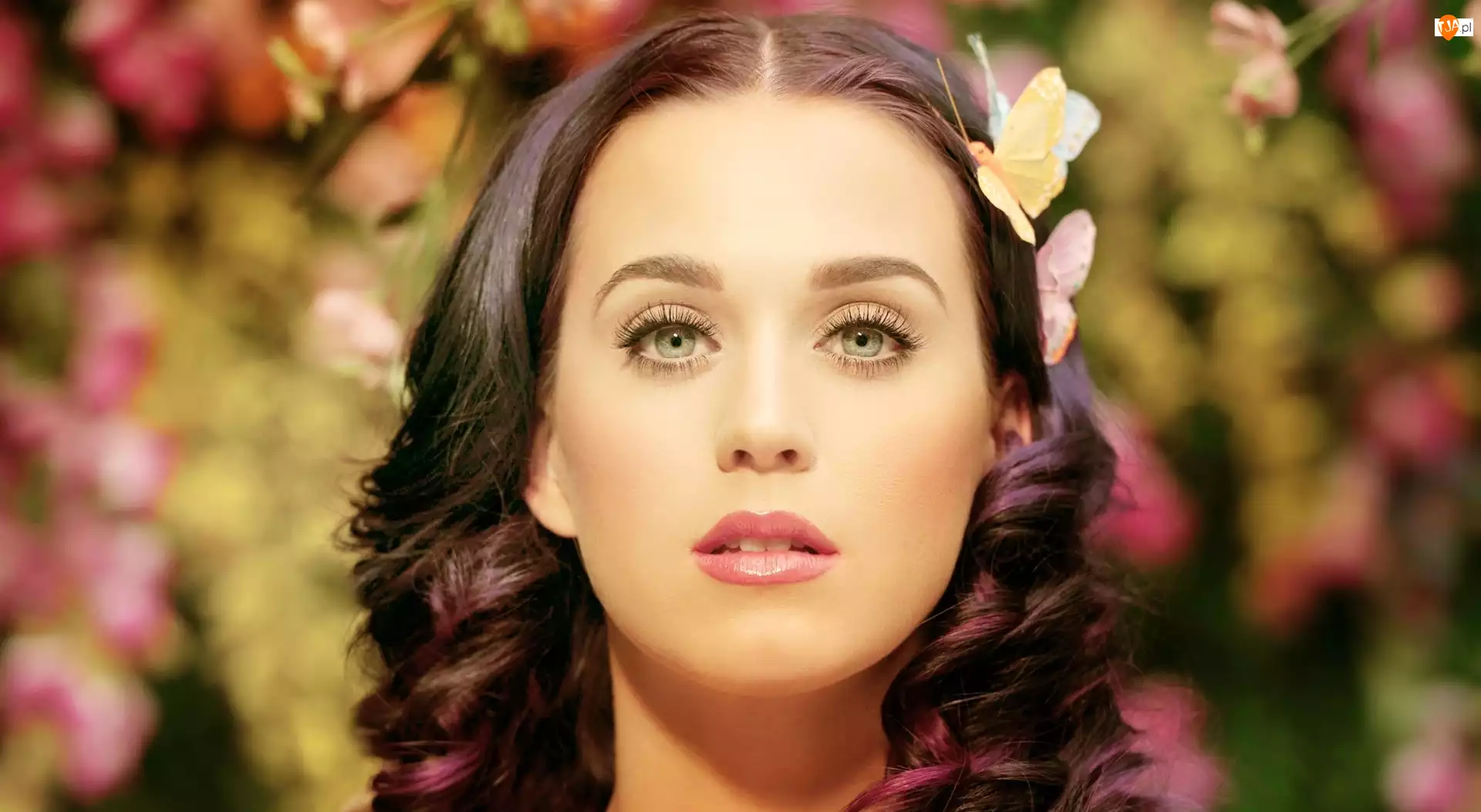 Katy Perry, Artystka, Pop, Piosenkarka