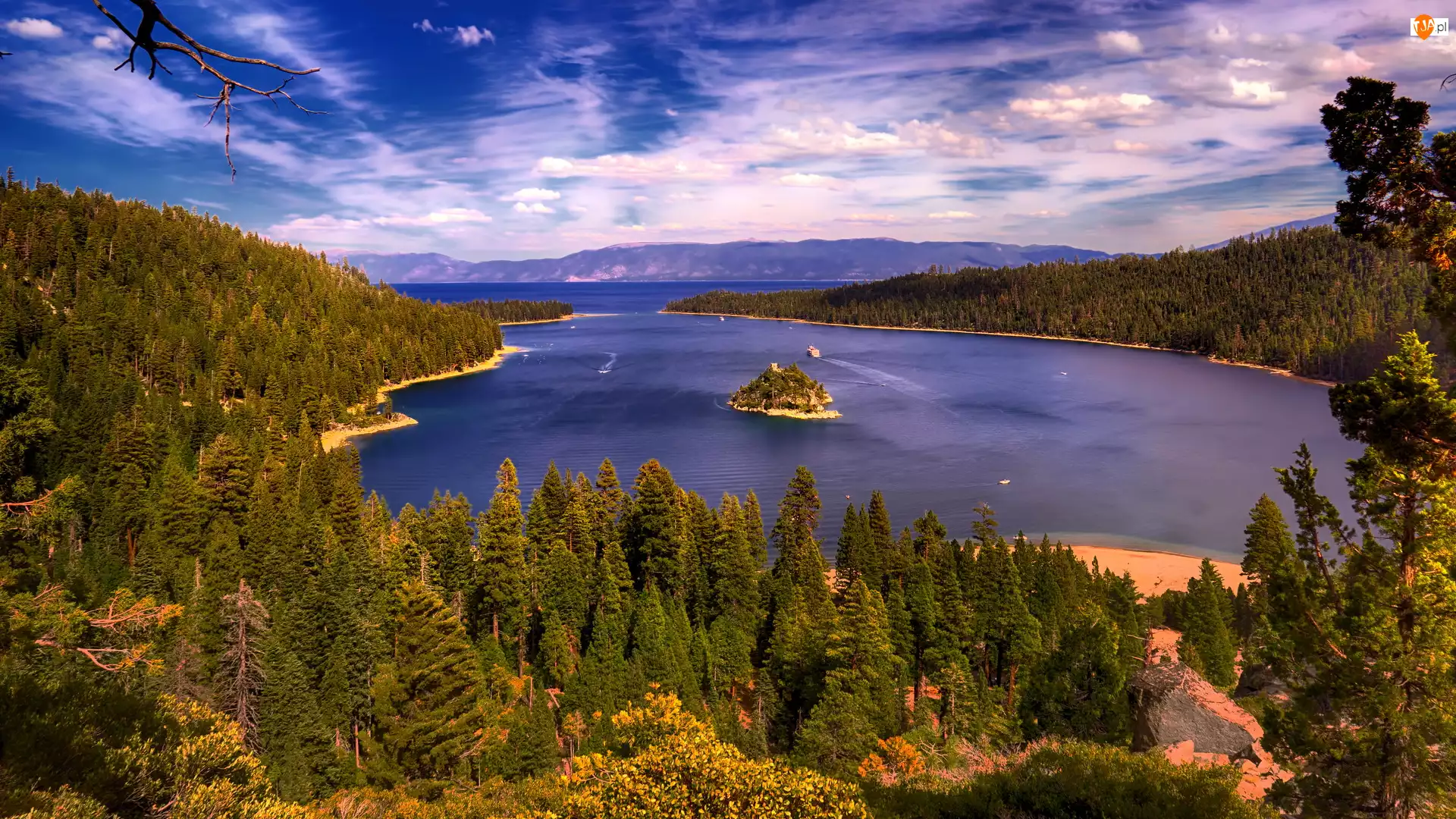 Wyspa Fannette, Park Emerald Bay, Stany Zjednoczone, Jezioro Tahoe, Kalifornia, Drzewa, Lasy