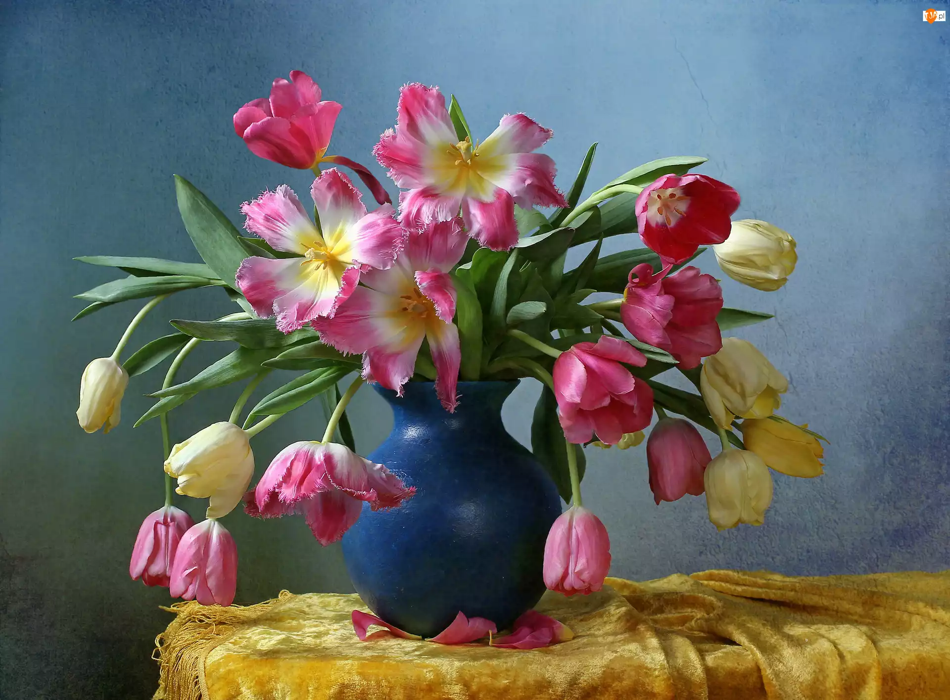 Wazon, Kwiaty, Tulipany, Niebieski