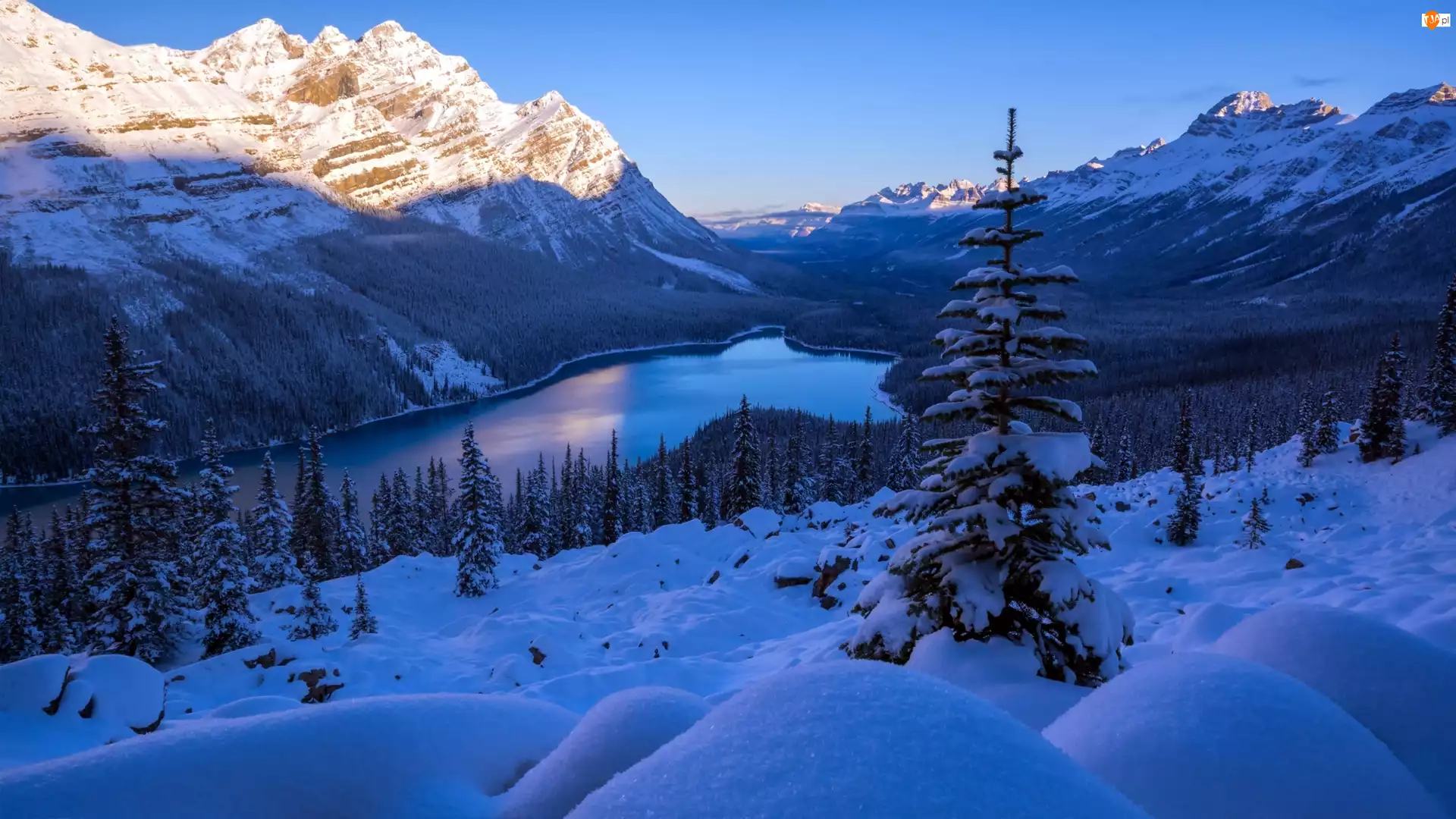 Park Narodowy Banff, Kanada, Góry, Zima, Jezioro Peyto, Lasy