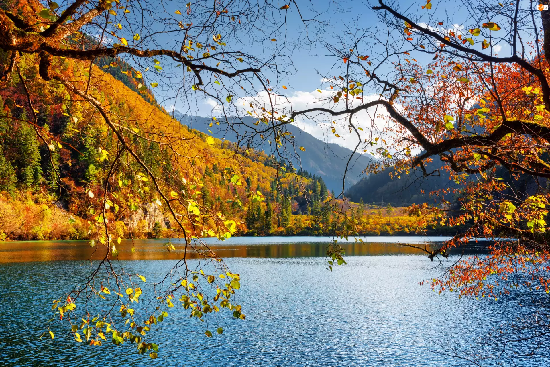 Park Narodowy Jiuzhaigou, Jesień, Drzewa, Chiny, Jezioro Panda Lake, Góry, Las