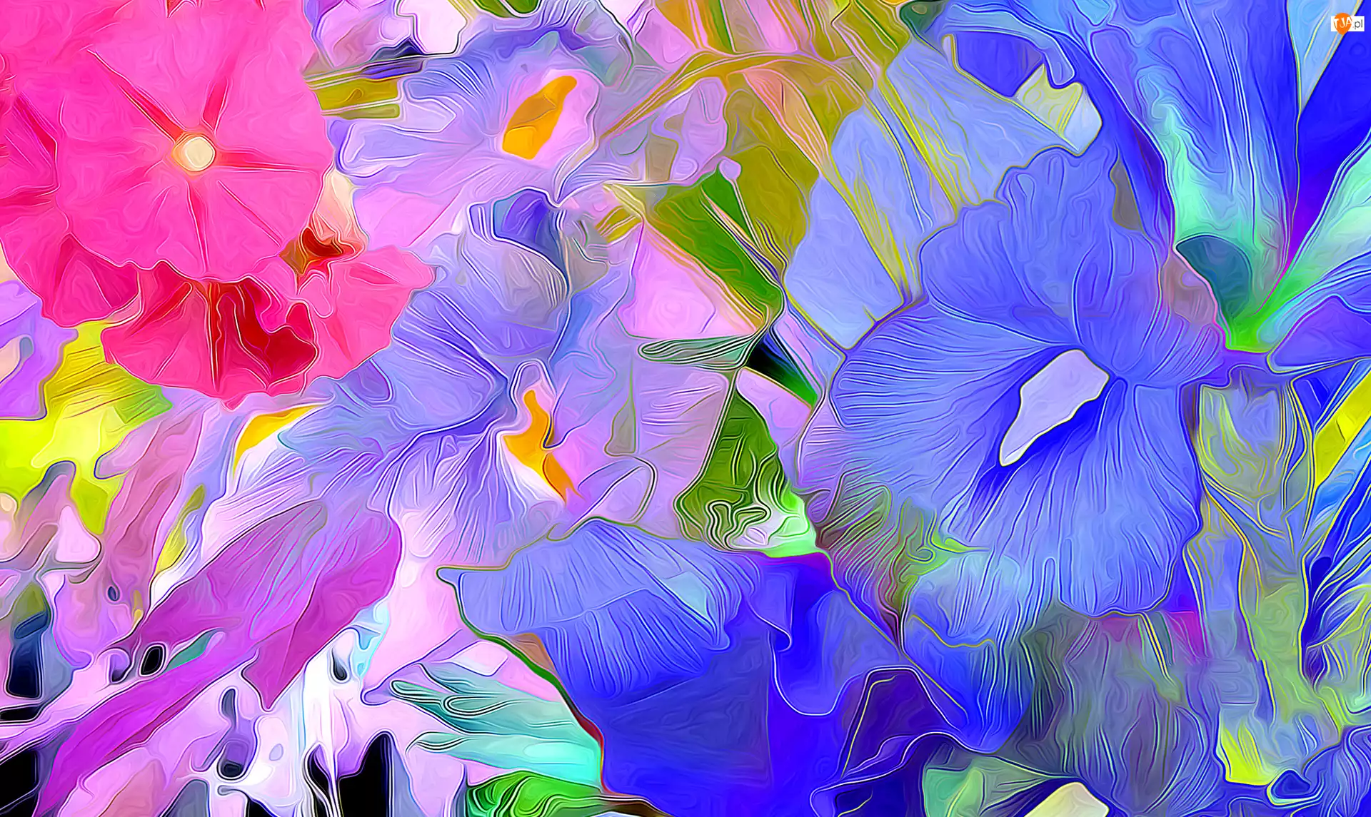 Niebieskie, Fractalius, Różowe, Kolorowe, Kwiaty