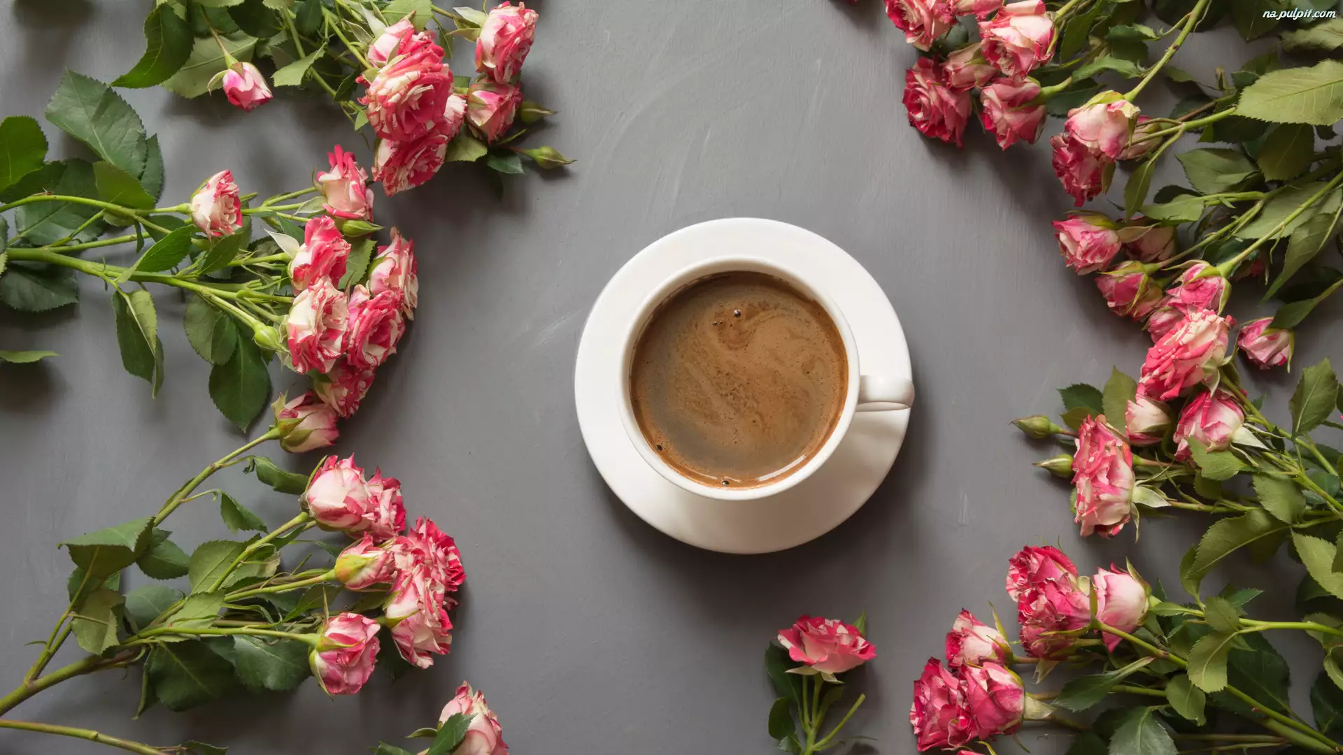 Kawa, Kwiaty, Róże, Filiżanka