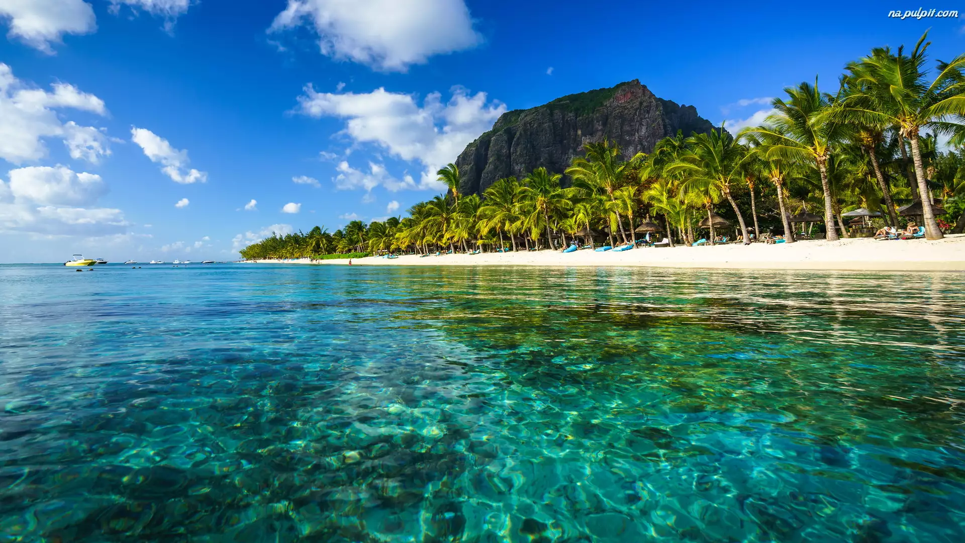 Plaża, Morze, Góra, Mauritius, Palmy, Le Morne Brabant