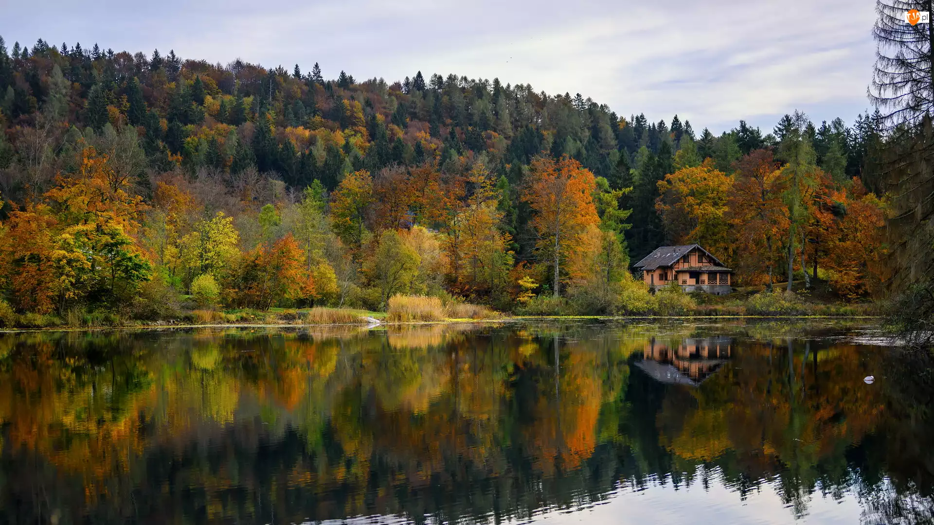 Dom, Drzewa, Jezioro, Jesień, Kolorowe