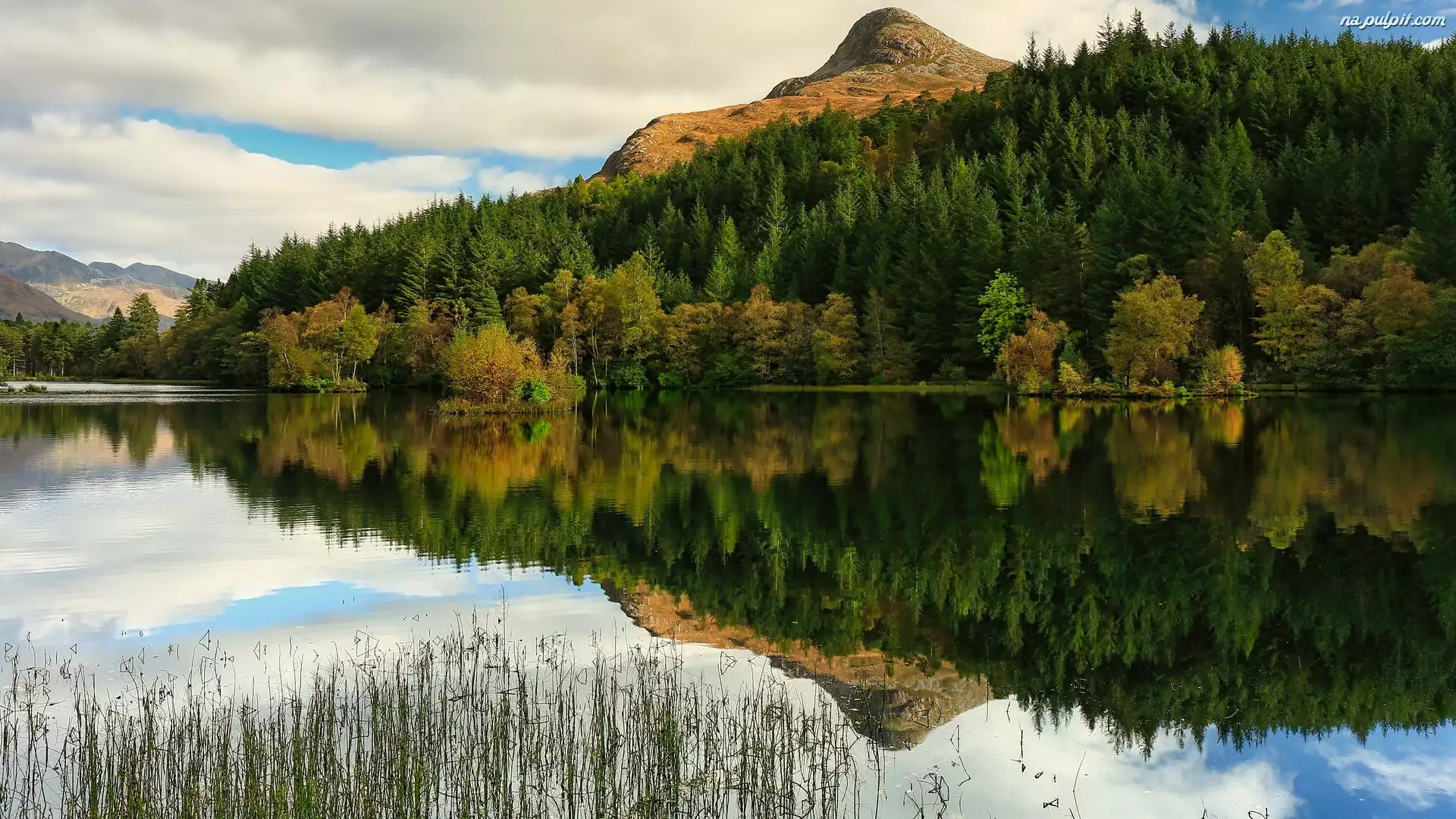Góra Pap of Glencoe, Las, Szkocja, Góry, Odbicie, Trawa, Jezioro