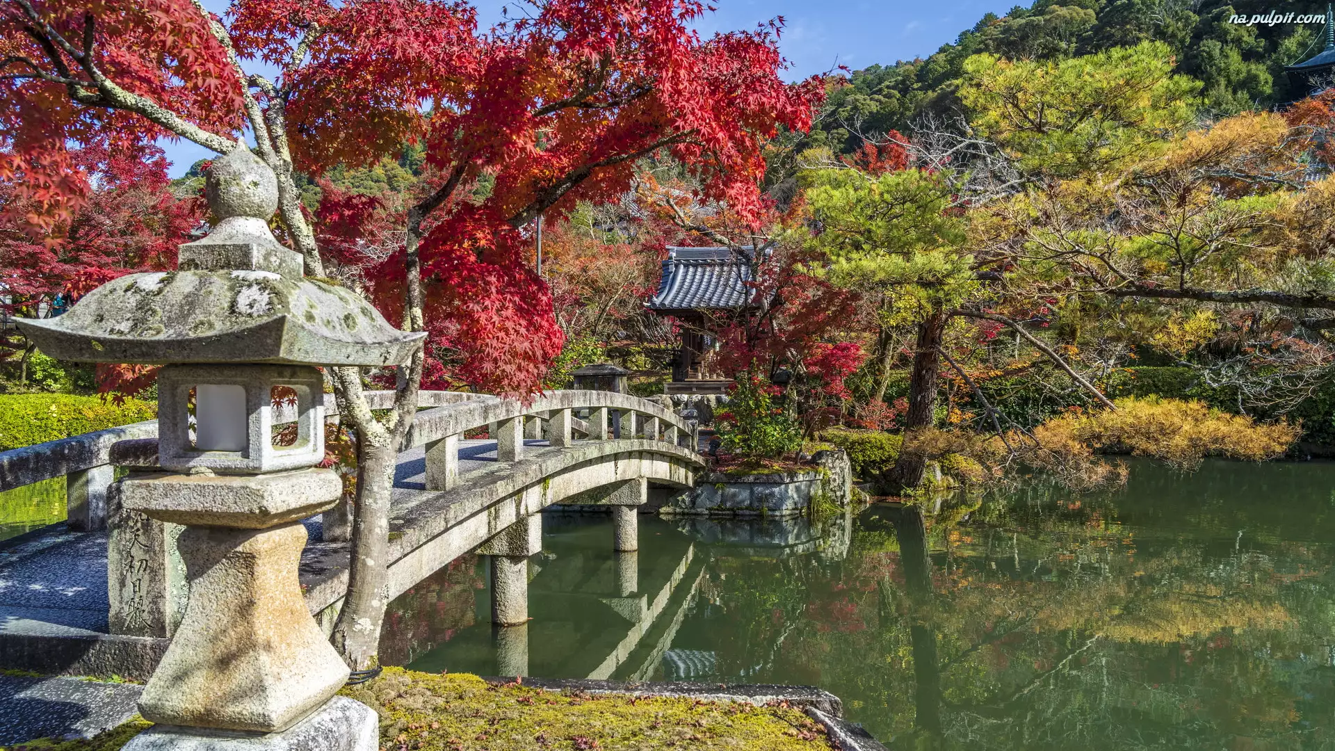 Ogród, Staw, Kolorowe, Kioto, Mostek, Drzewa, Japonia, Latarnia