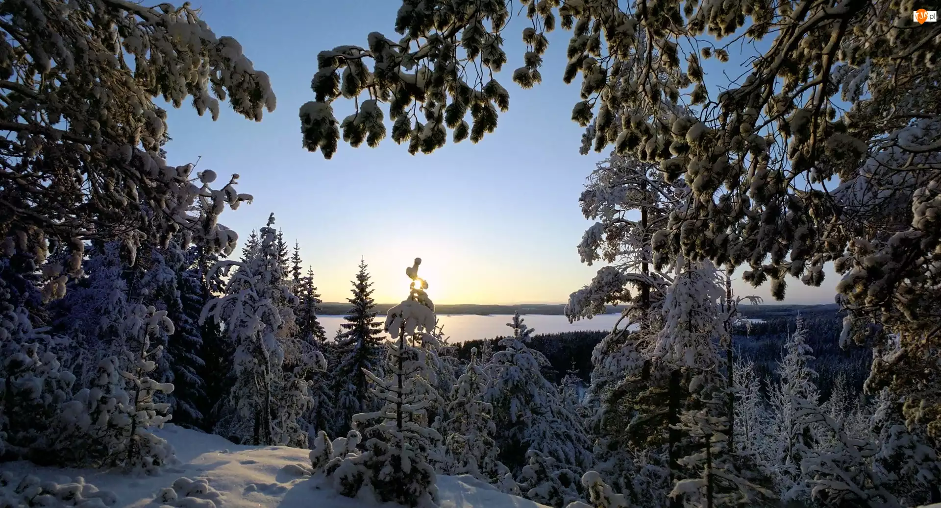 Jezioro, Zima, Drzewa, Śnieg