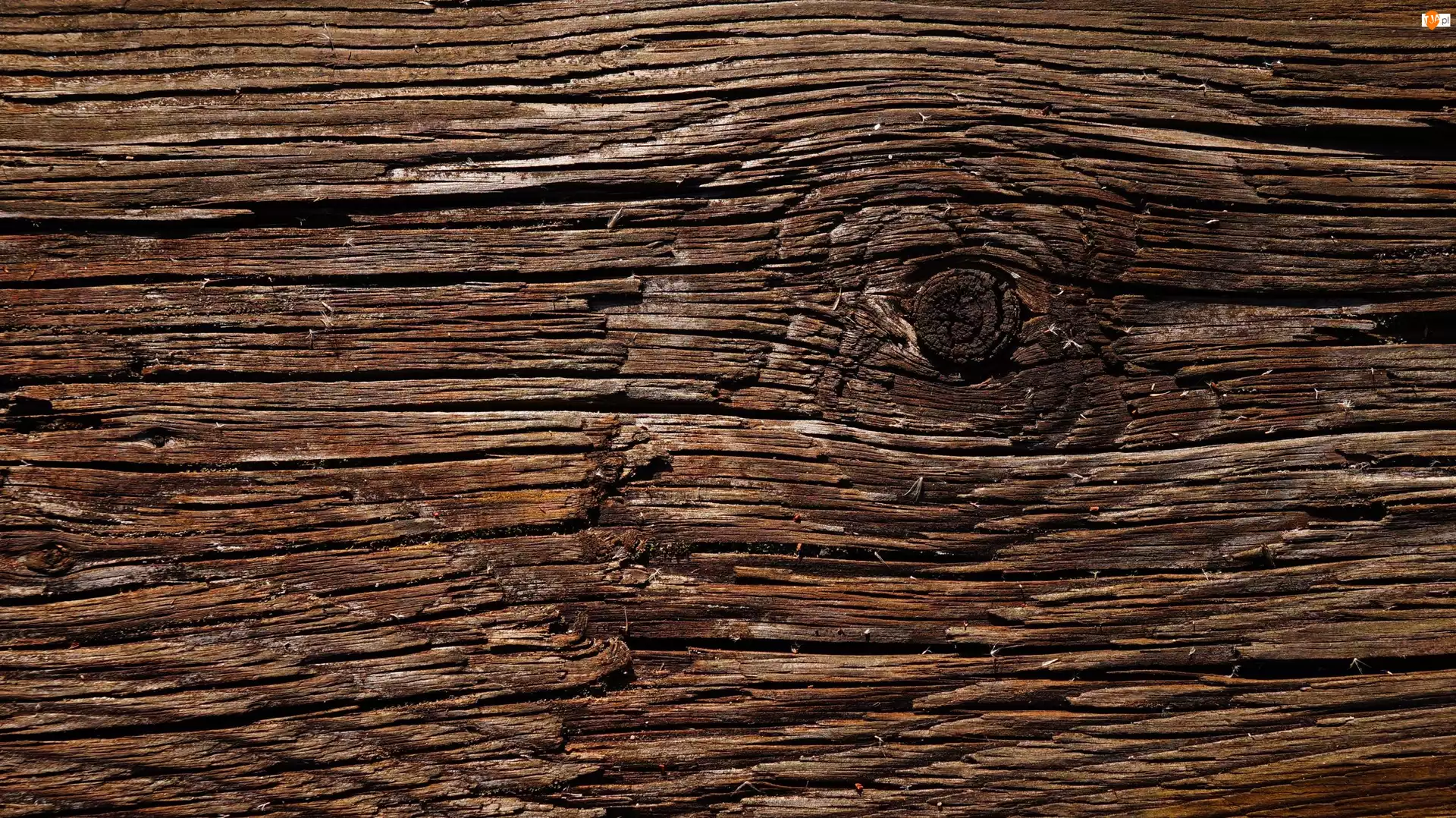 Drewno, Tekstura, Popękane