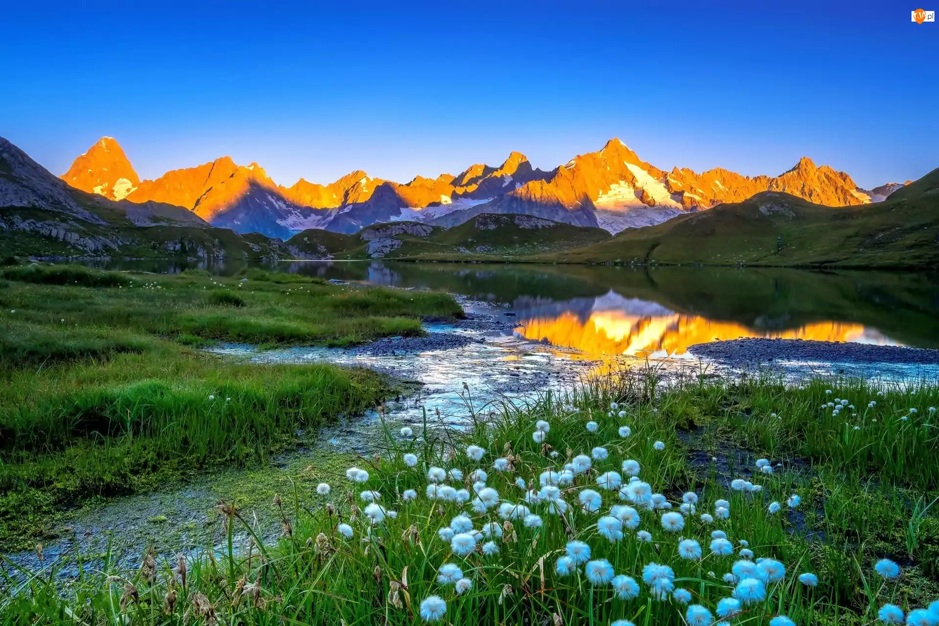 Łąka, Alpy Graickie, Mont Blanc, Jezioro