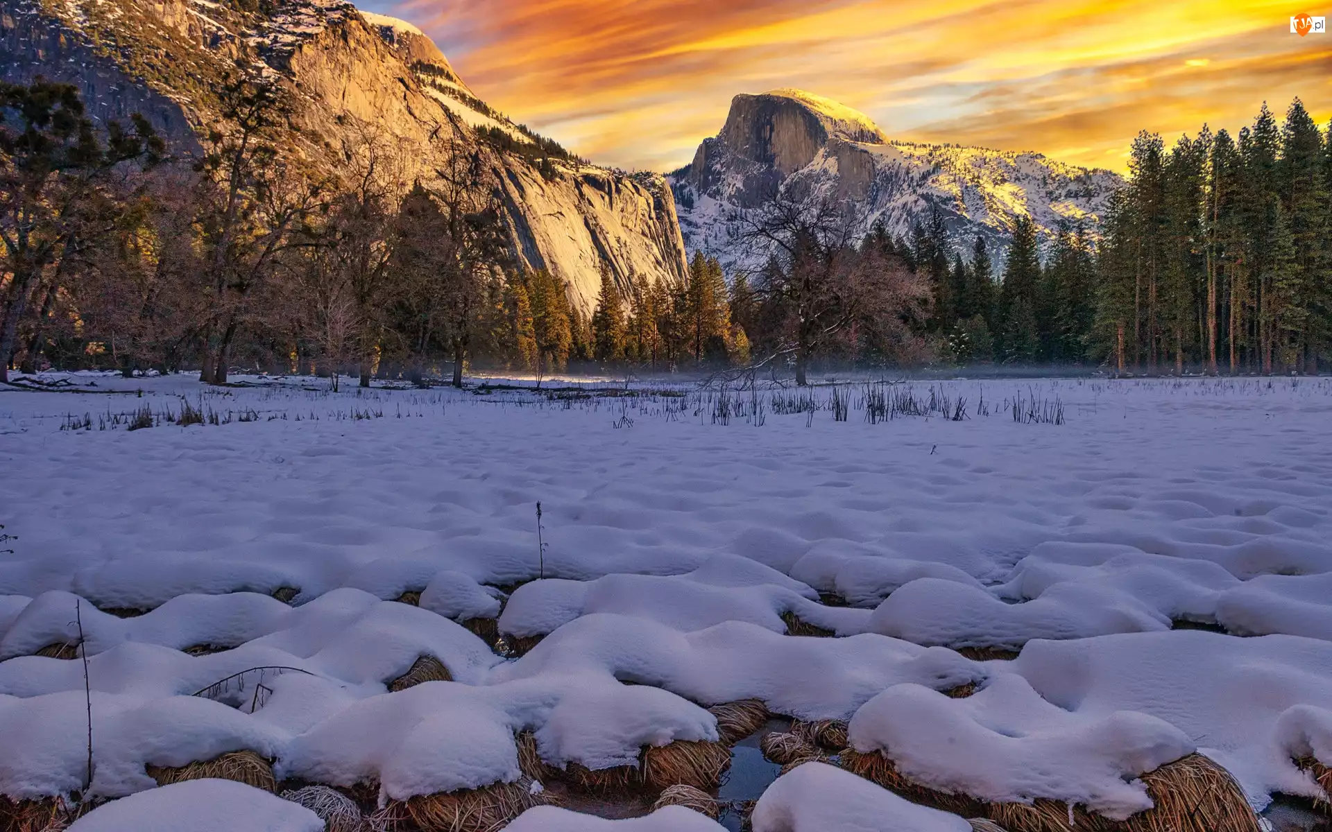 Góry, Drzewa, Śnieg, Sucha, Kalifornia, Zima, Sierra Nevada, Stany Zjednoczone, Trawa, Park Narodowy Yosemite, Dolina Yosemite
