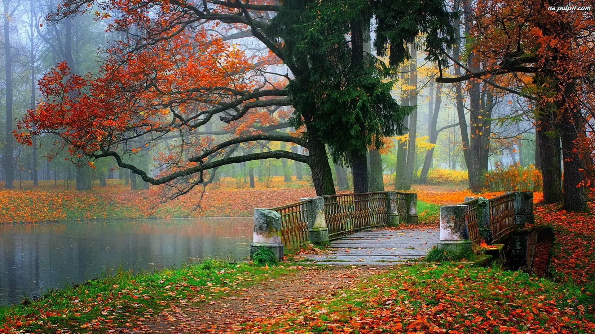 Jesień, Mostek, rzeka, Park