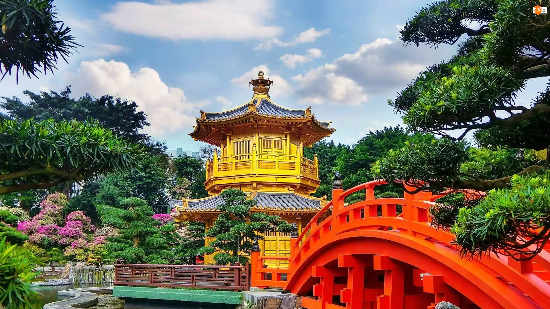 Golden Pavilion Chi Lin Nunnery Temple, Ogród, Chiny, Świątynia, Hongkong, Most Diamond Hill, Chi Lin Nunnery