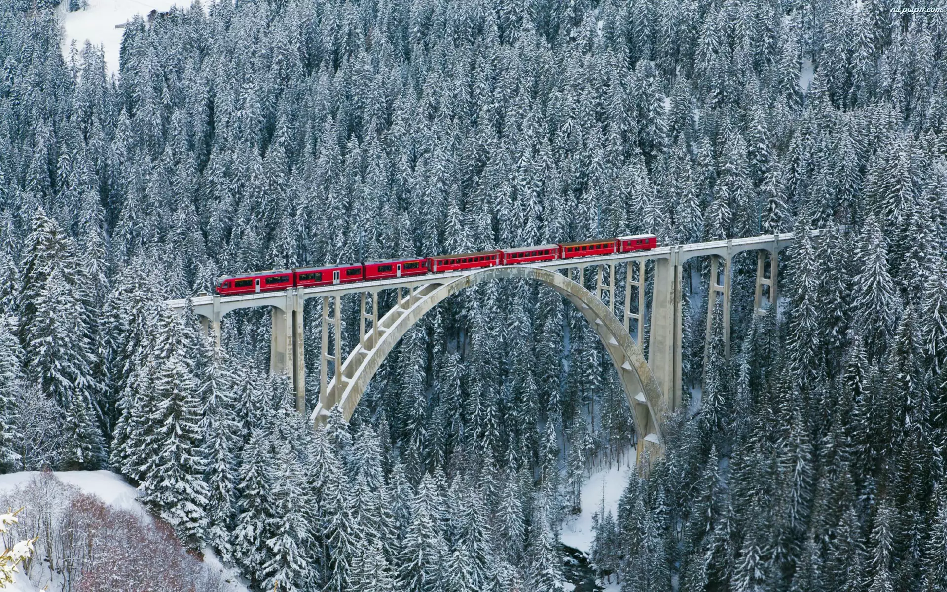 Most, Pociąg, Zima, Szwajcaria, Las, Śnieg