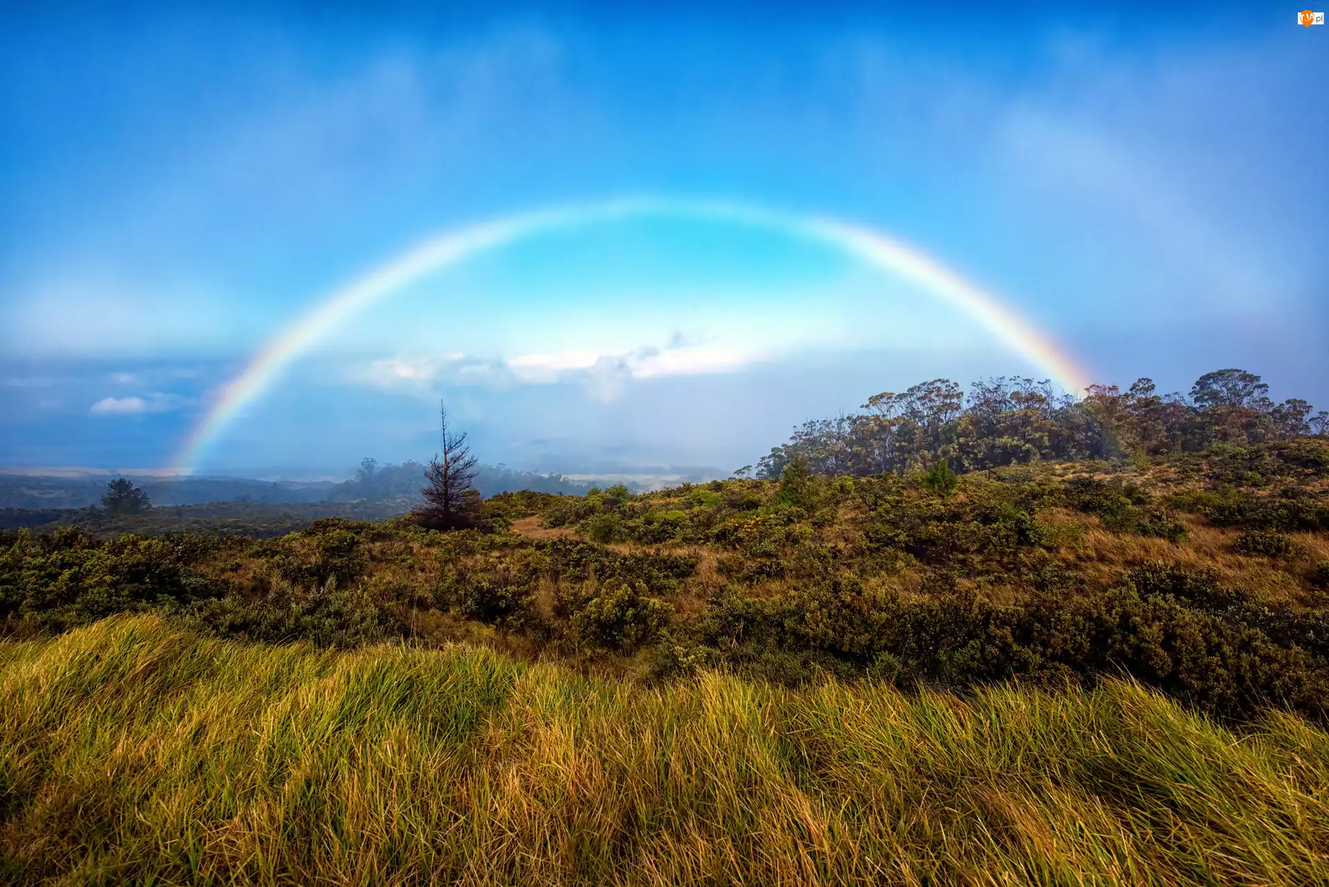 Park Narodowy Haleakalā, Łąka, Wyspa Maui, Hawaje, Tęcza