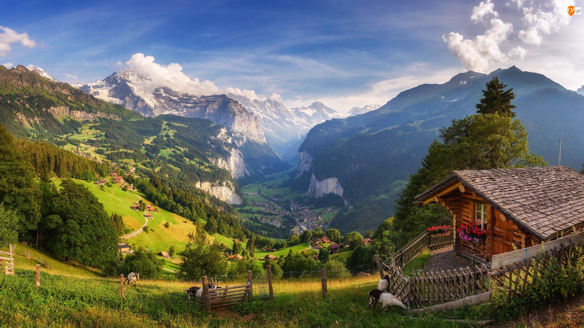 Domy, Szwajcaria, Dolina, Drzewa, Góry, Lauterbrunnental, Ogrodzenie, Alpy